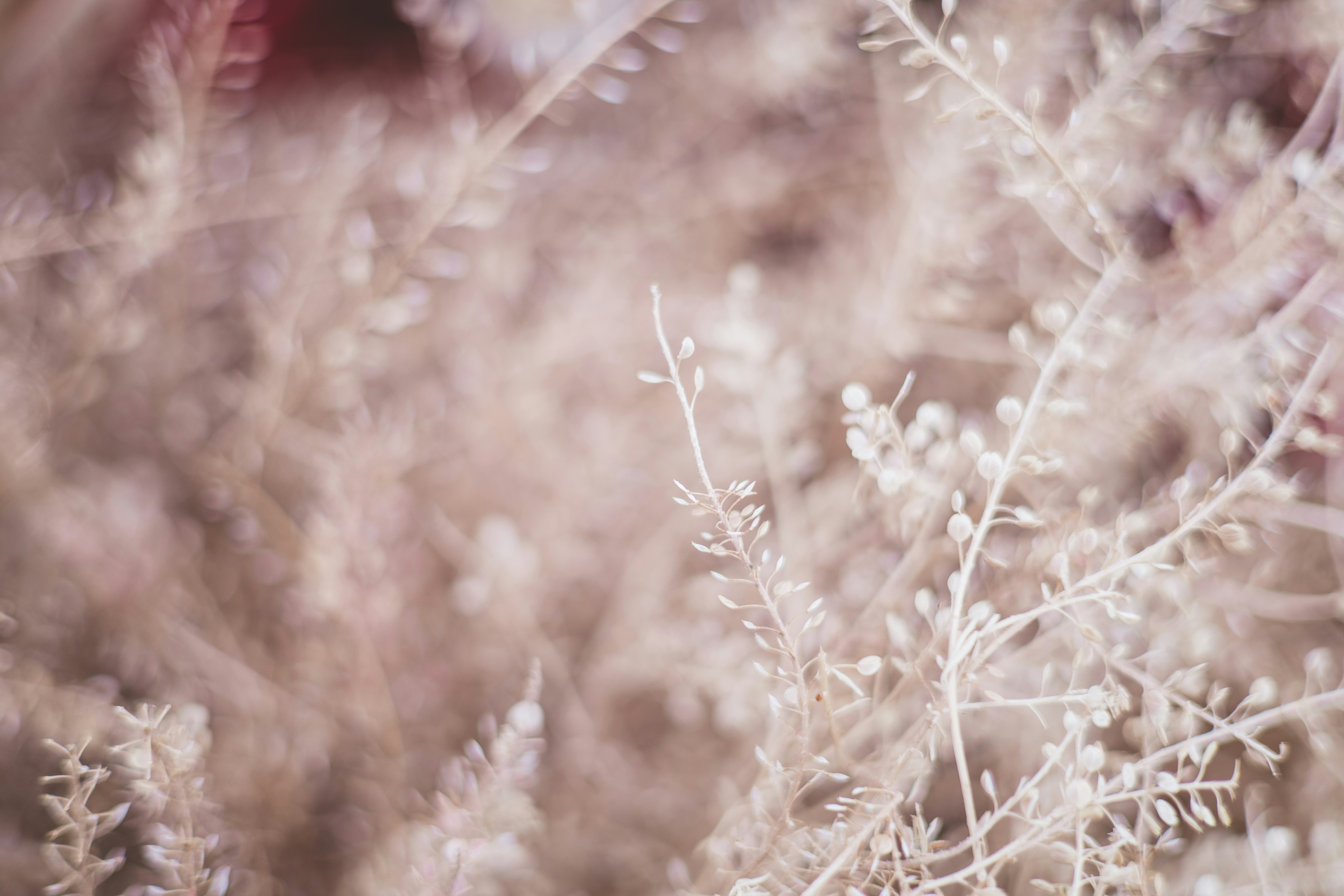 Photo by rrodriguesim