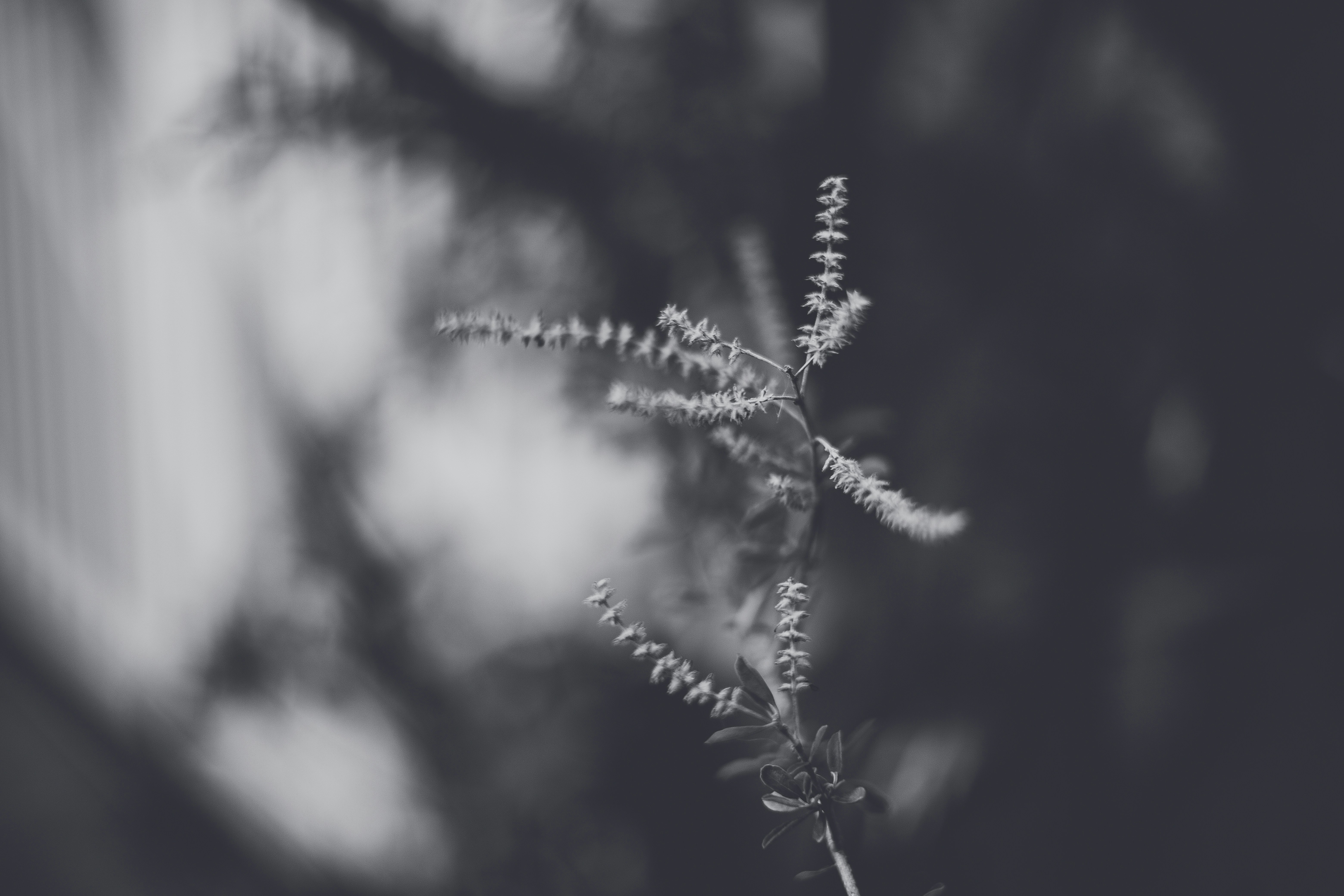 Photo by rrodriguesim