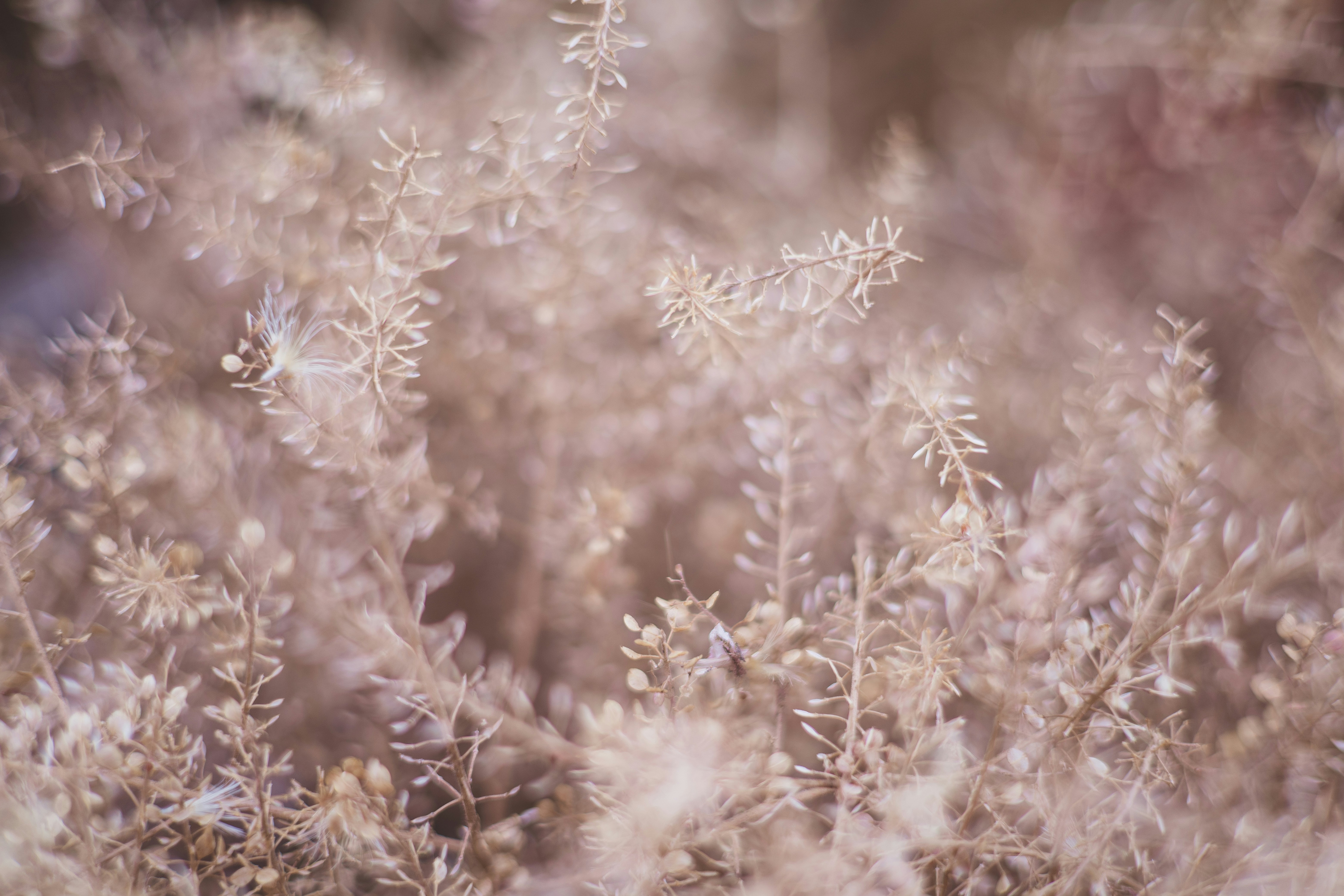 Photo by rrodriguesim