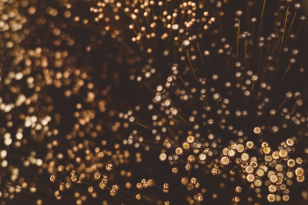Close-up of a glowing constellation pattern with twinkling light points.