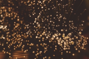 A close-up of numerous small, glowing orbs clustered together, resembling a field of ethereal dandelion seeds or fiber optic lights. The orbs are gently blurred, with warm golden and brown tones dominating the scene, creating an abstract and mystical effect.