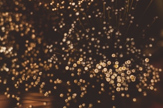 A close-up of numerous small, glowing orbs clustered together, resembling a field of ethereal dandelion seeds or fiber optic lights. The orbs are gently blurred, with warm golden and brown tones dominating the scene, creating an abstract and mystical effect.