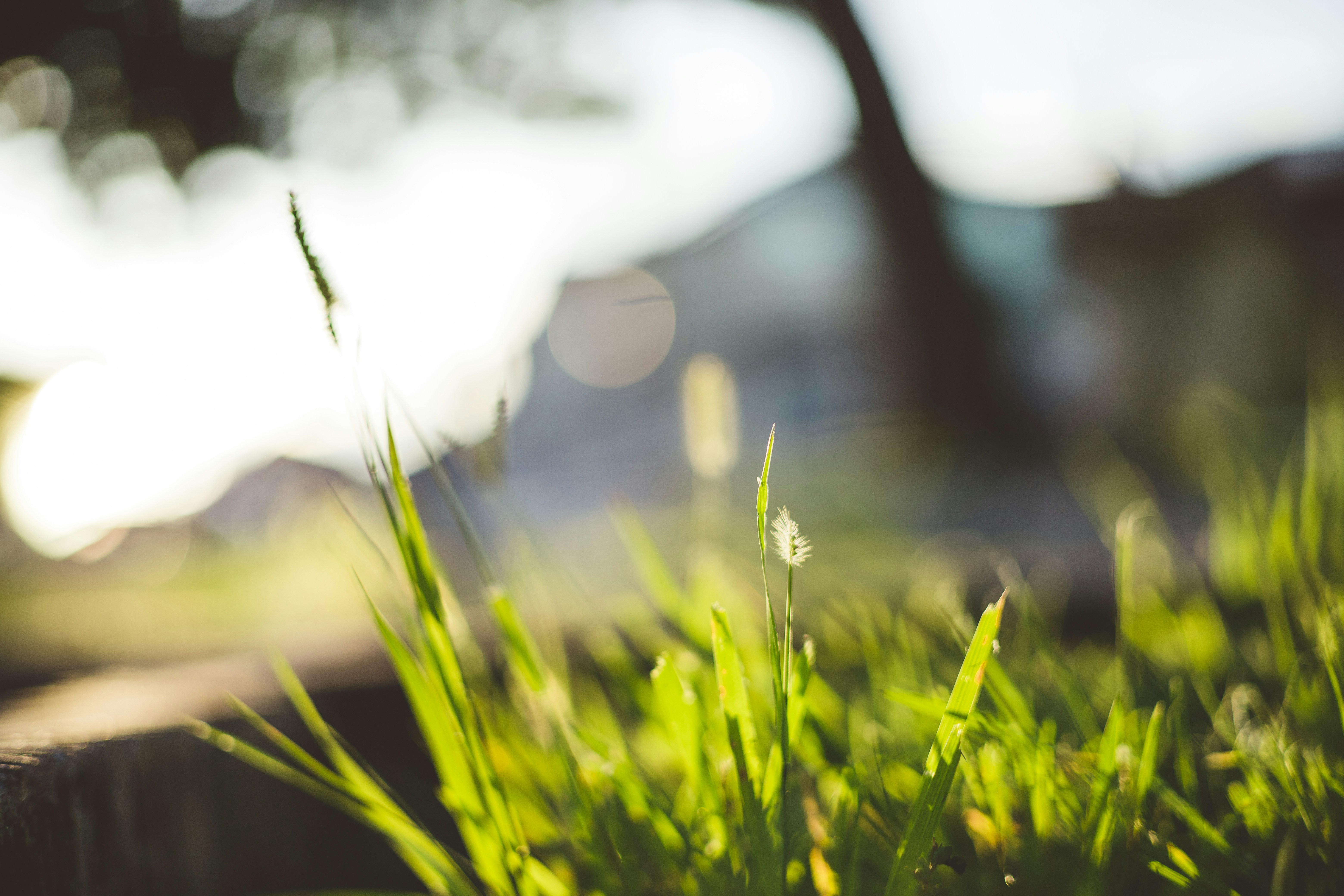 Photo by rrodriguesim