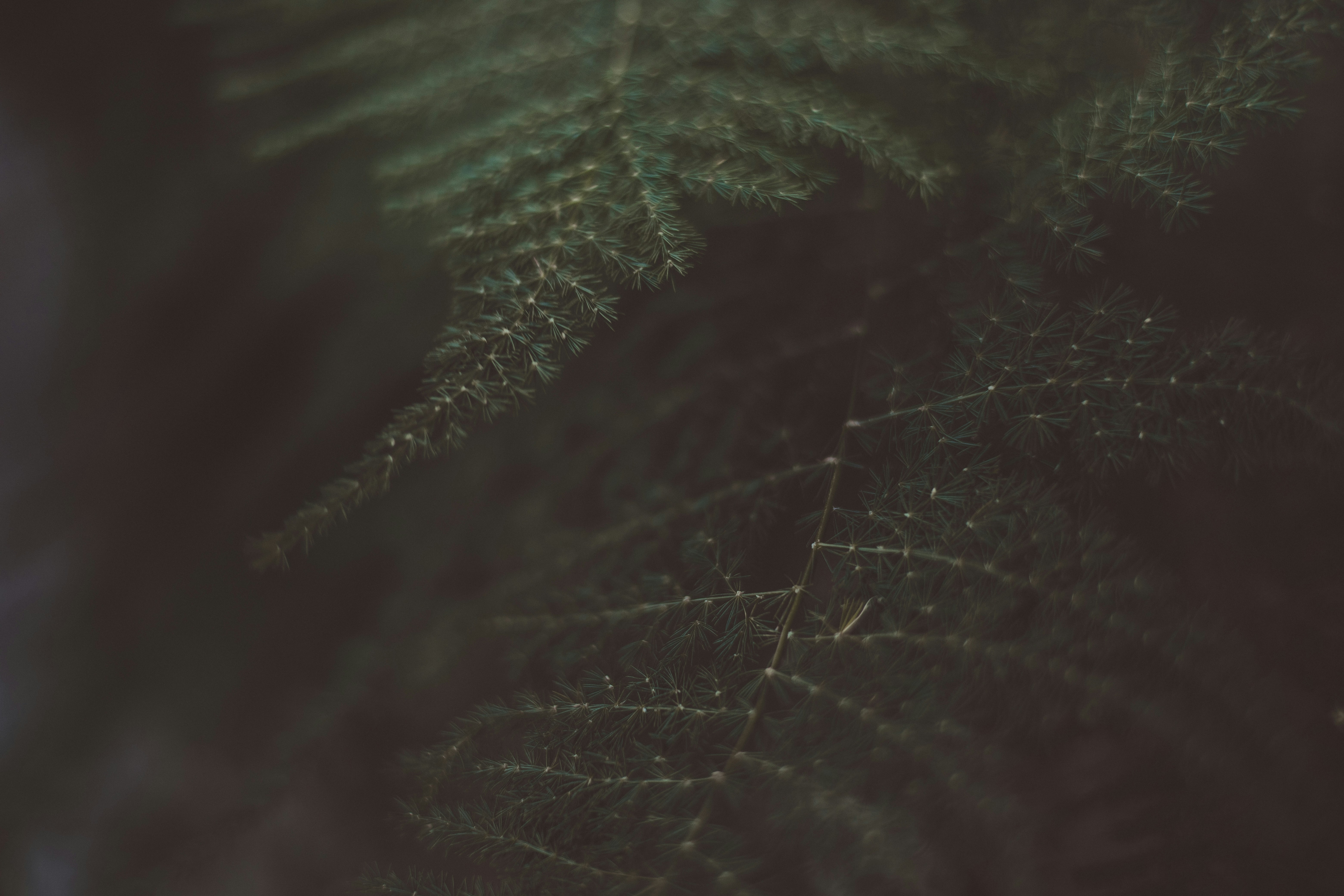 Photo by rrodriguesim