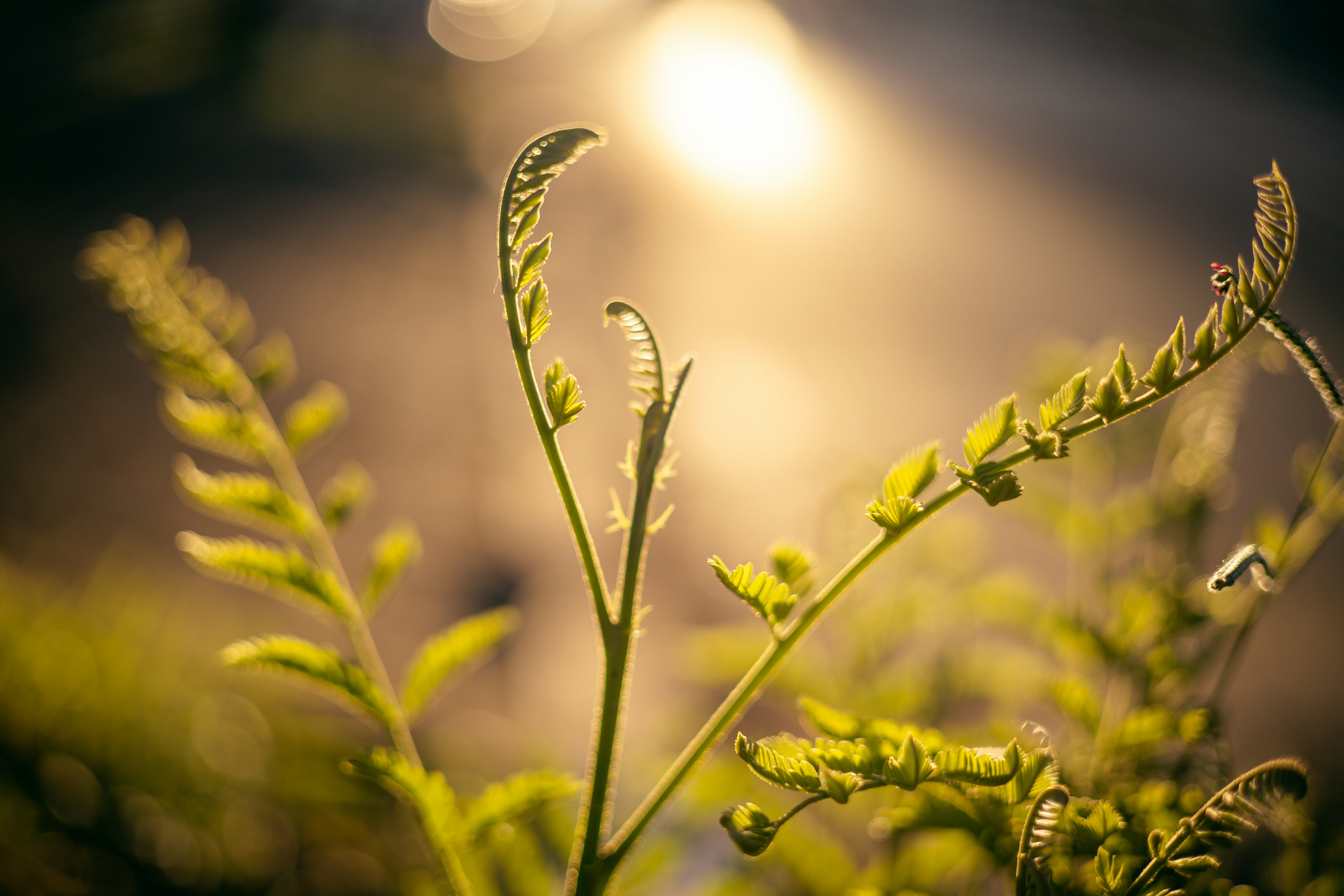 Photo by rrodriguesim