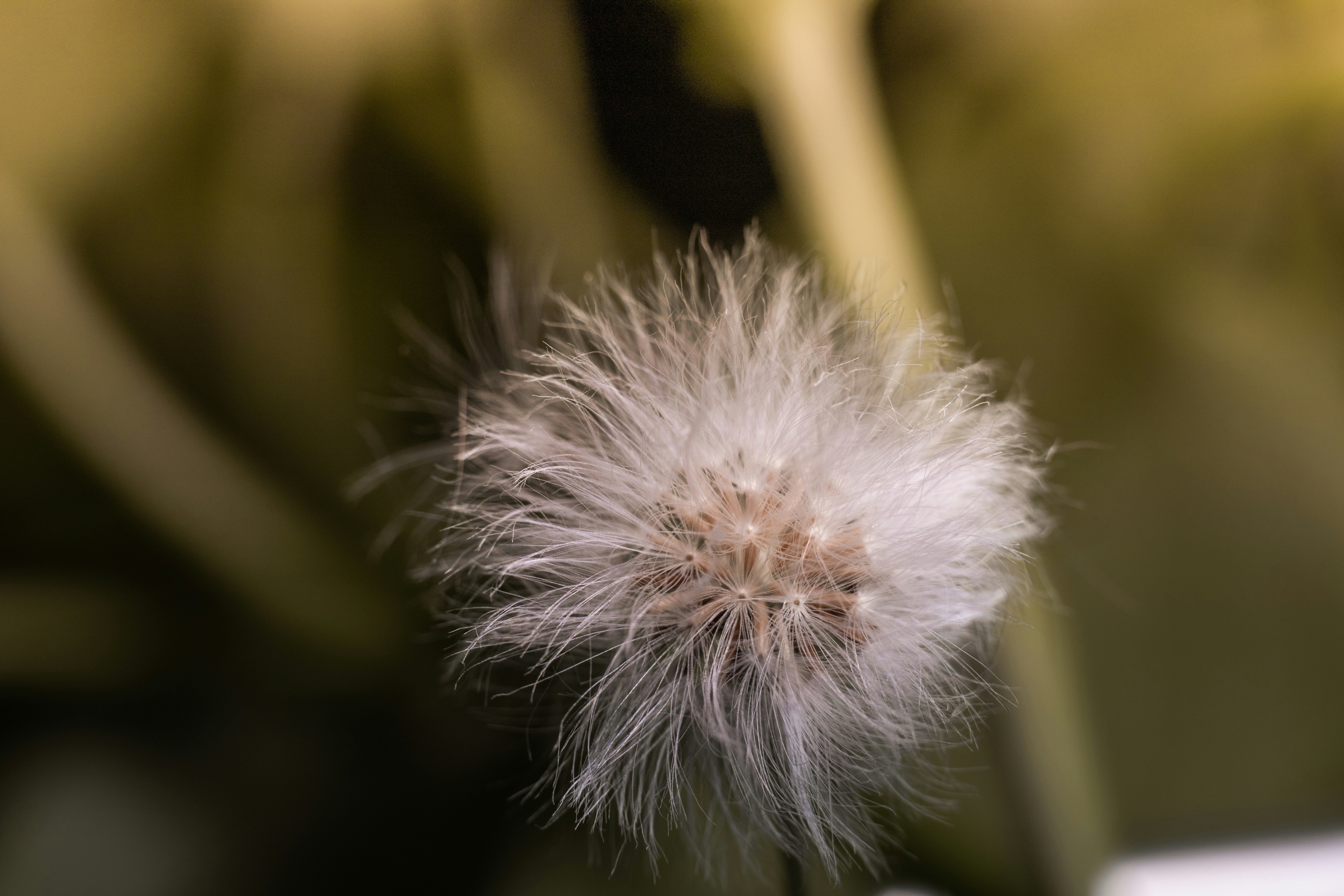 Photo by rrodriguesim