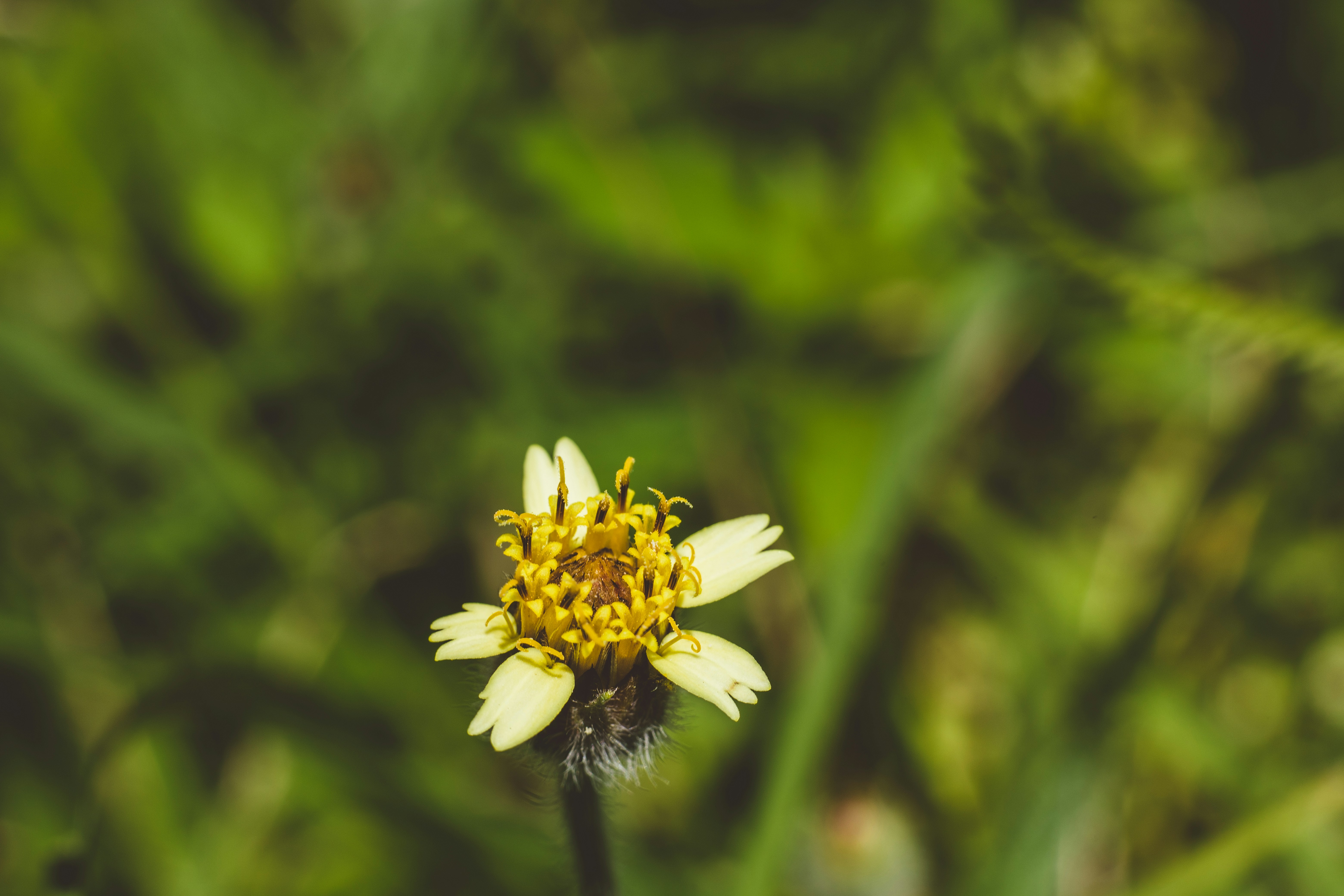 Photo by rrodriguesim