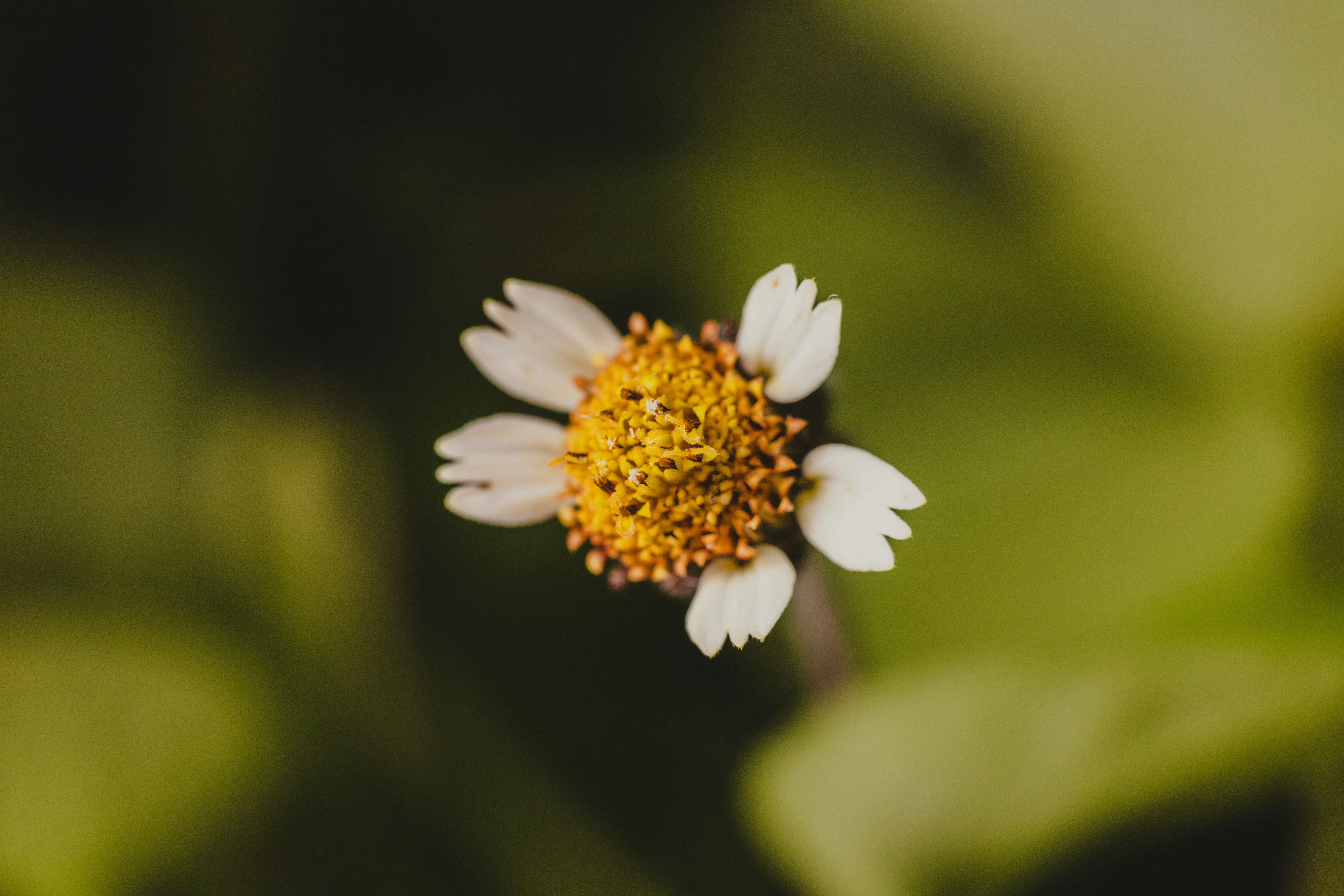 Photo by rrodriguesim