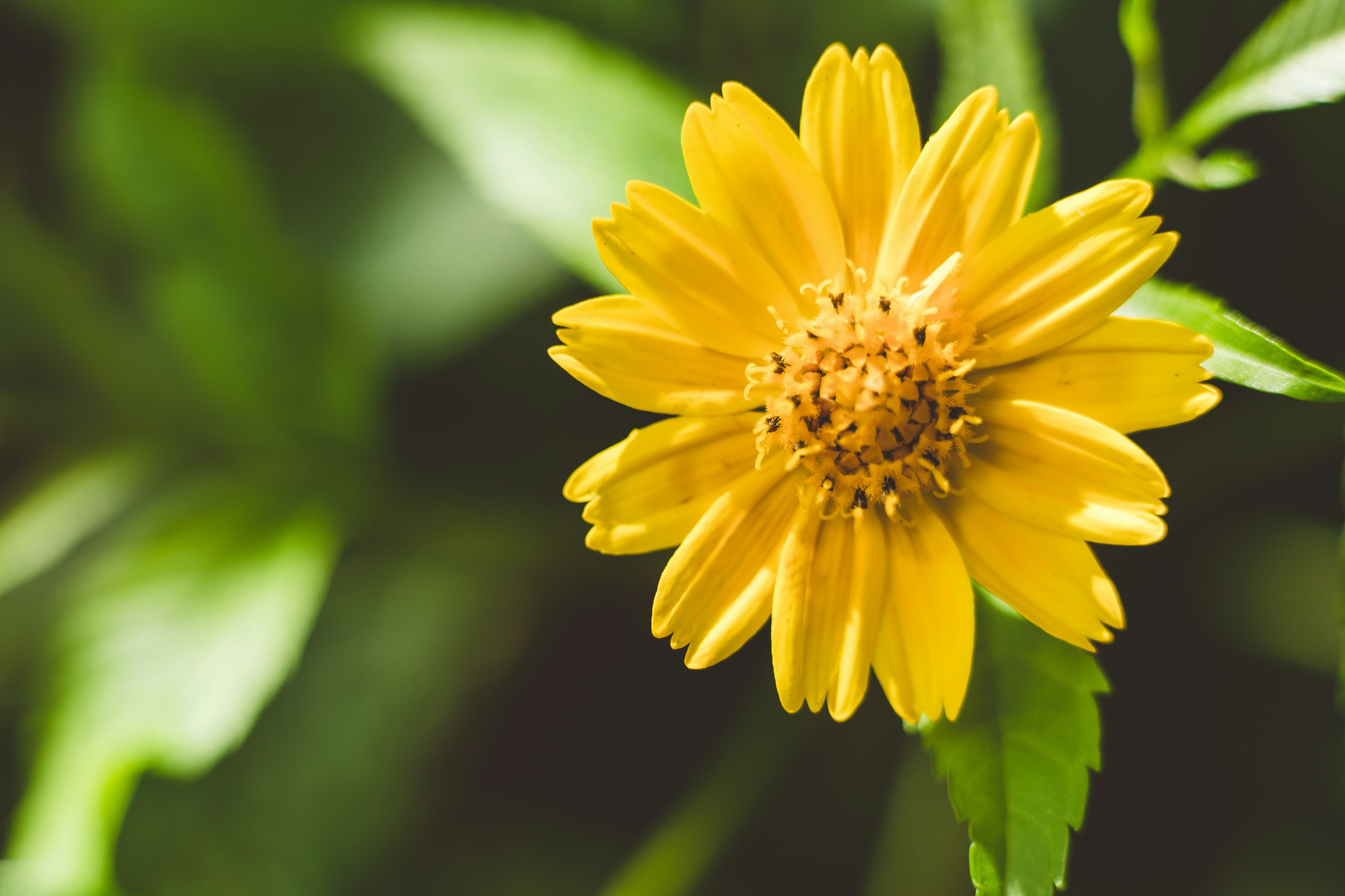 Photo by rrodriguesim