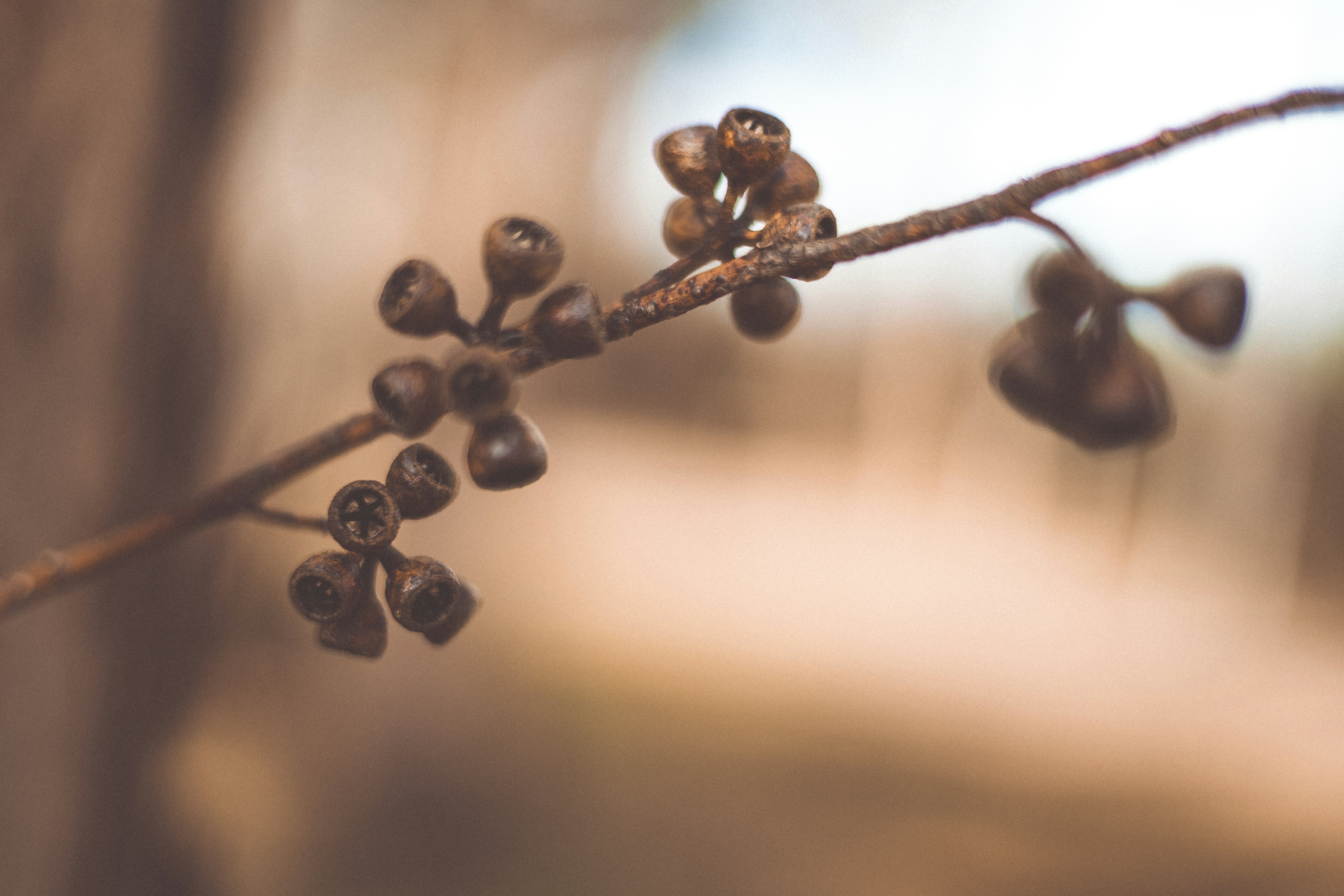 Photo by rrodriguesim