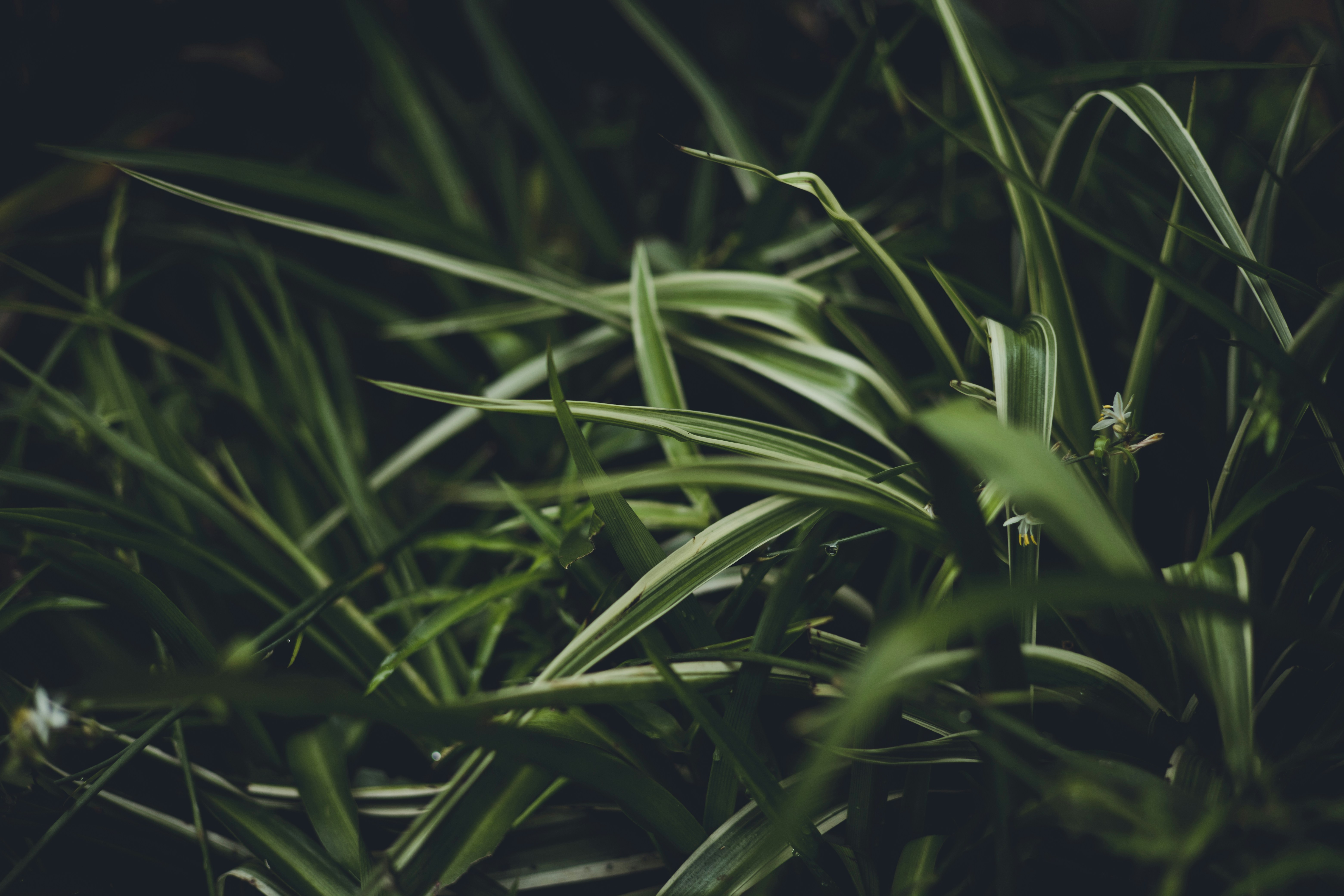 Photo by rrodriguesim