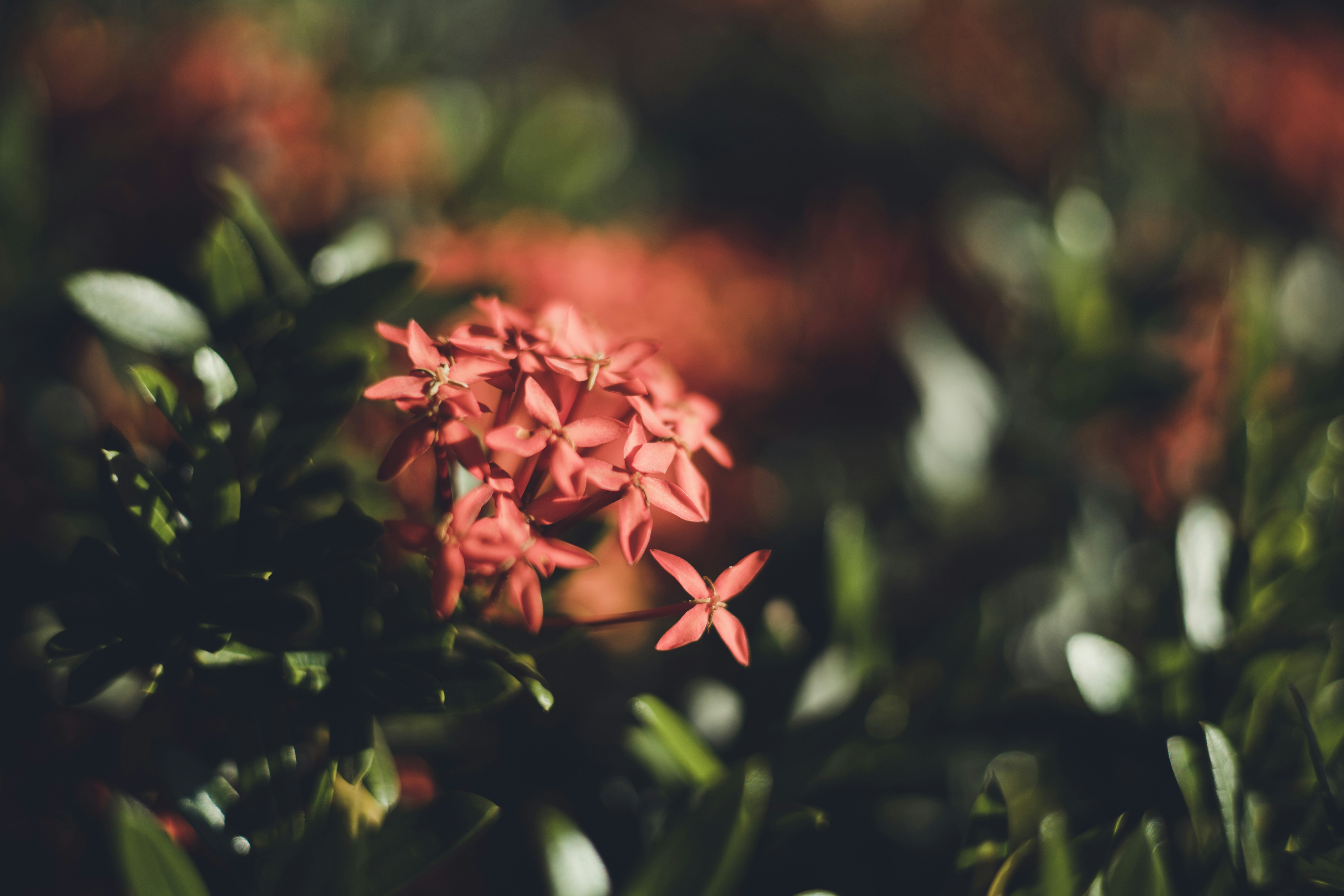 Photo by rrodriguesim