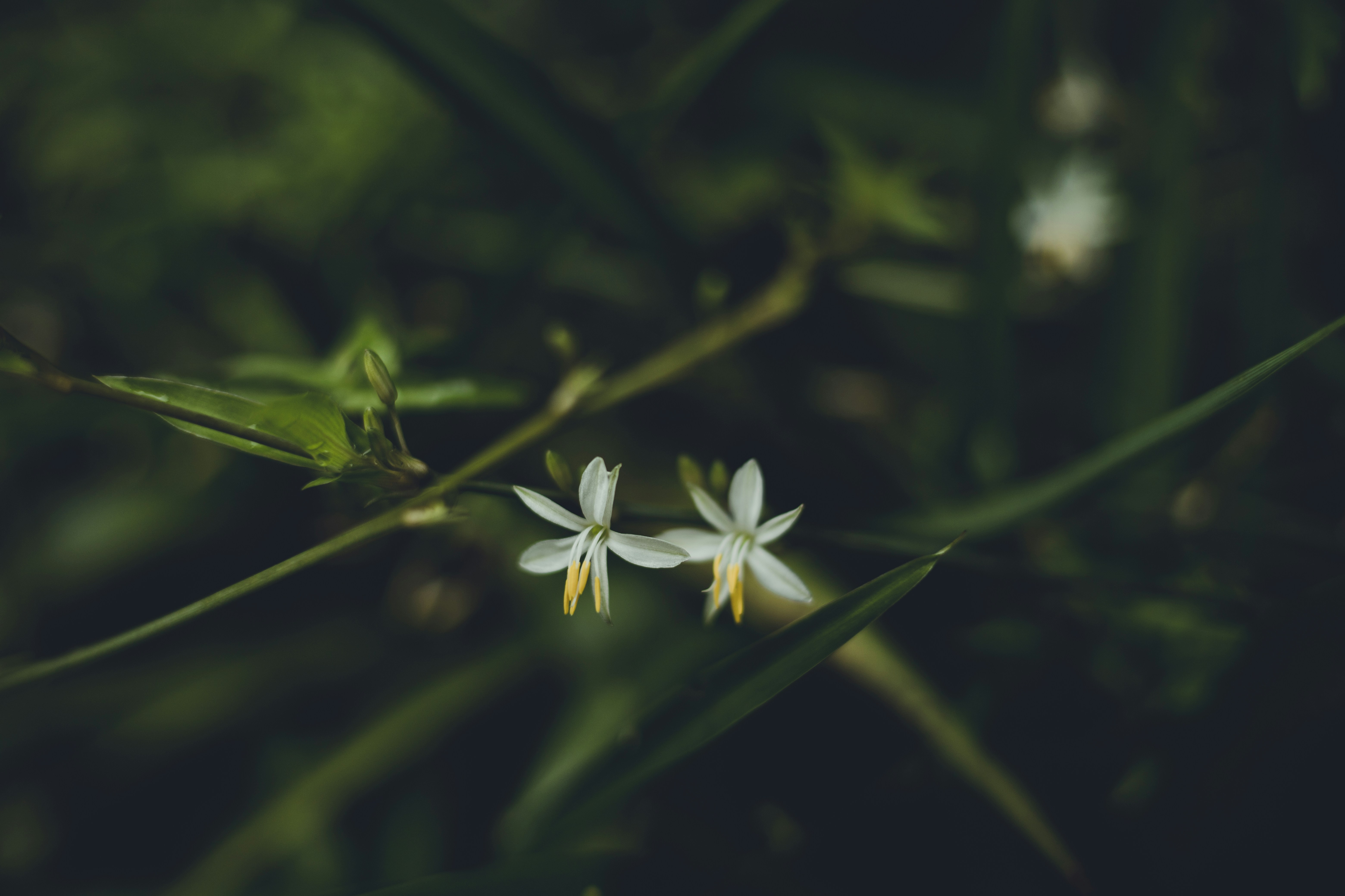 Photo by rrodriguesim