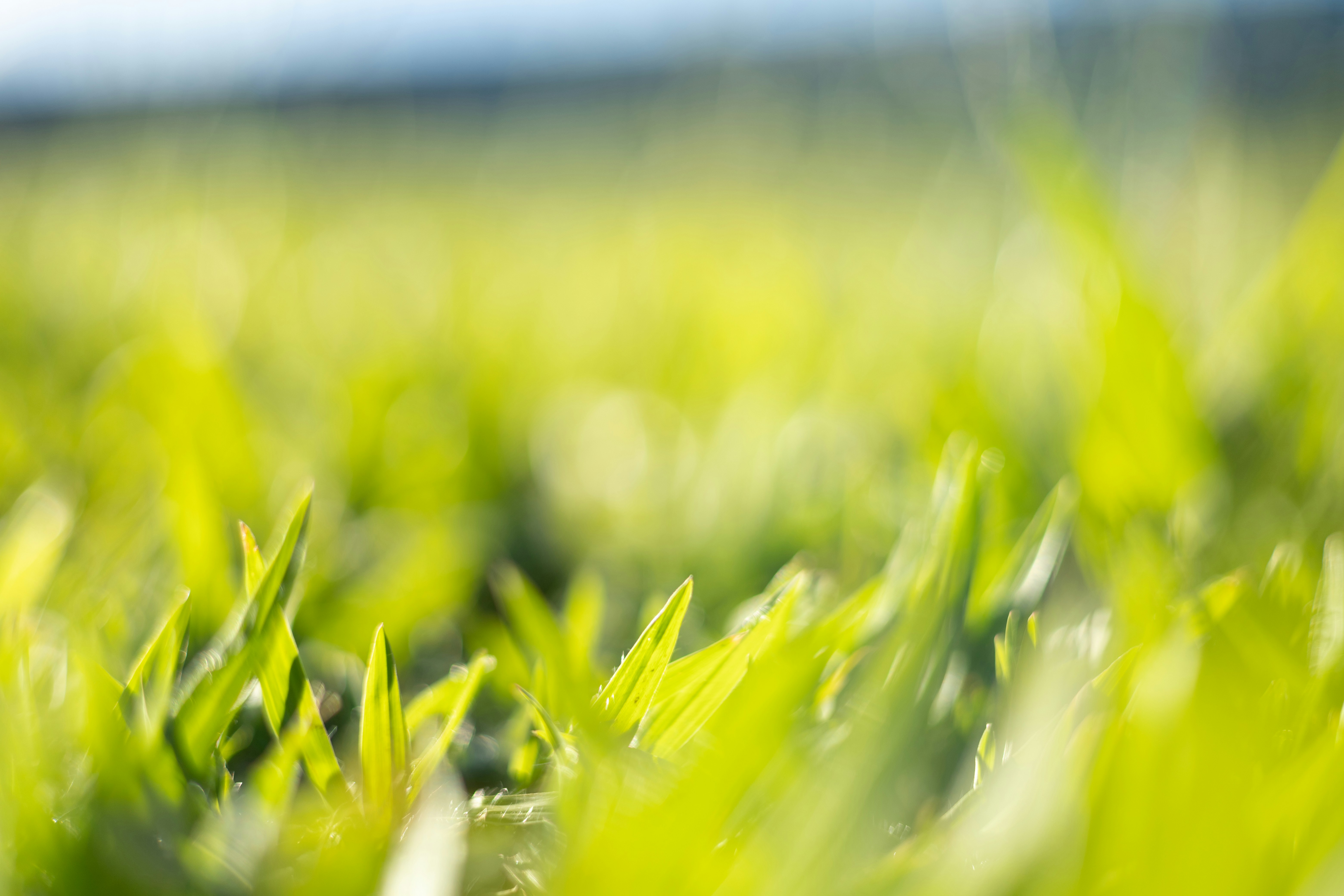 Photo by rrodriguesim