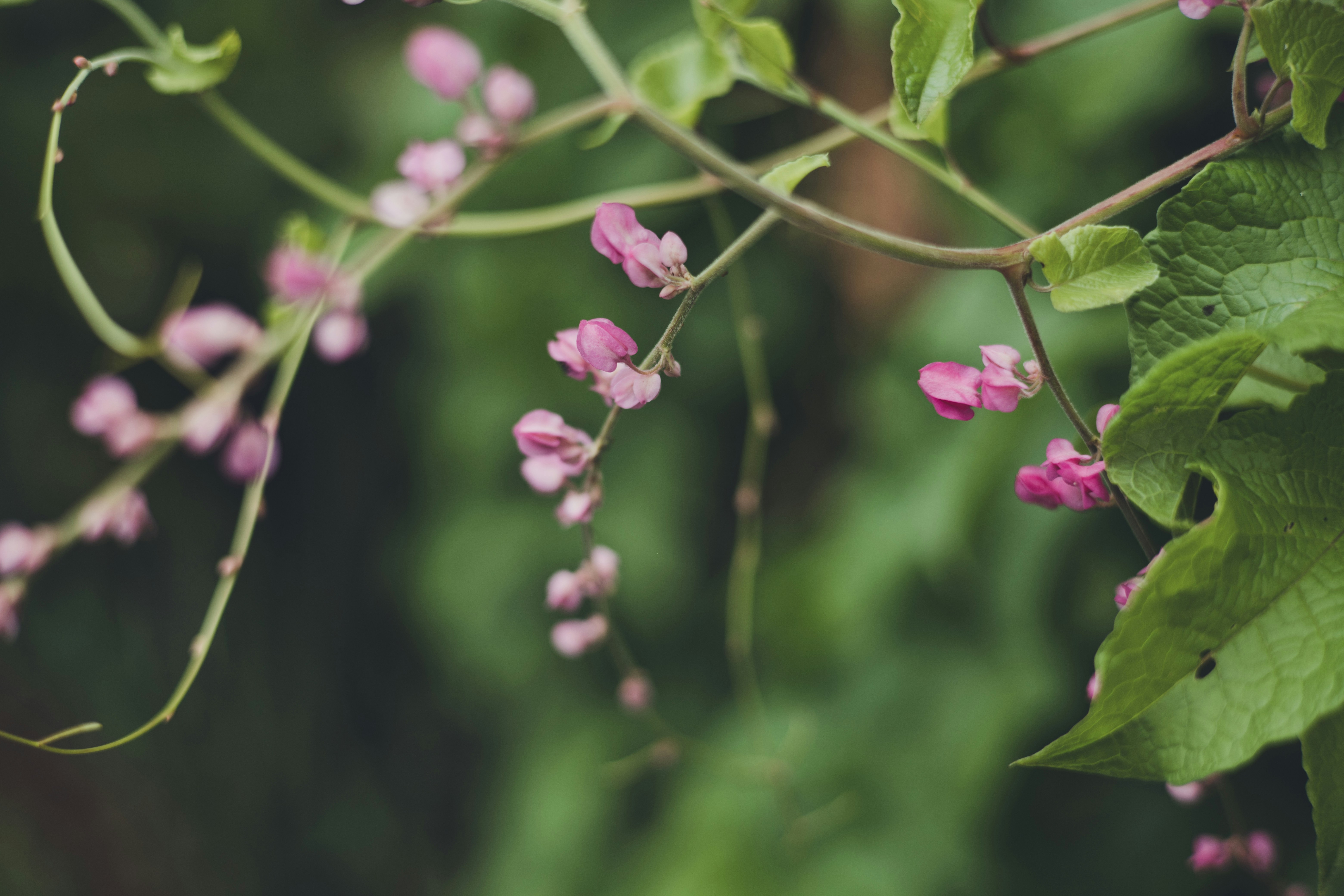 Photo by rrodriguesim