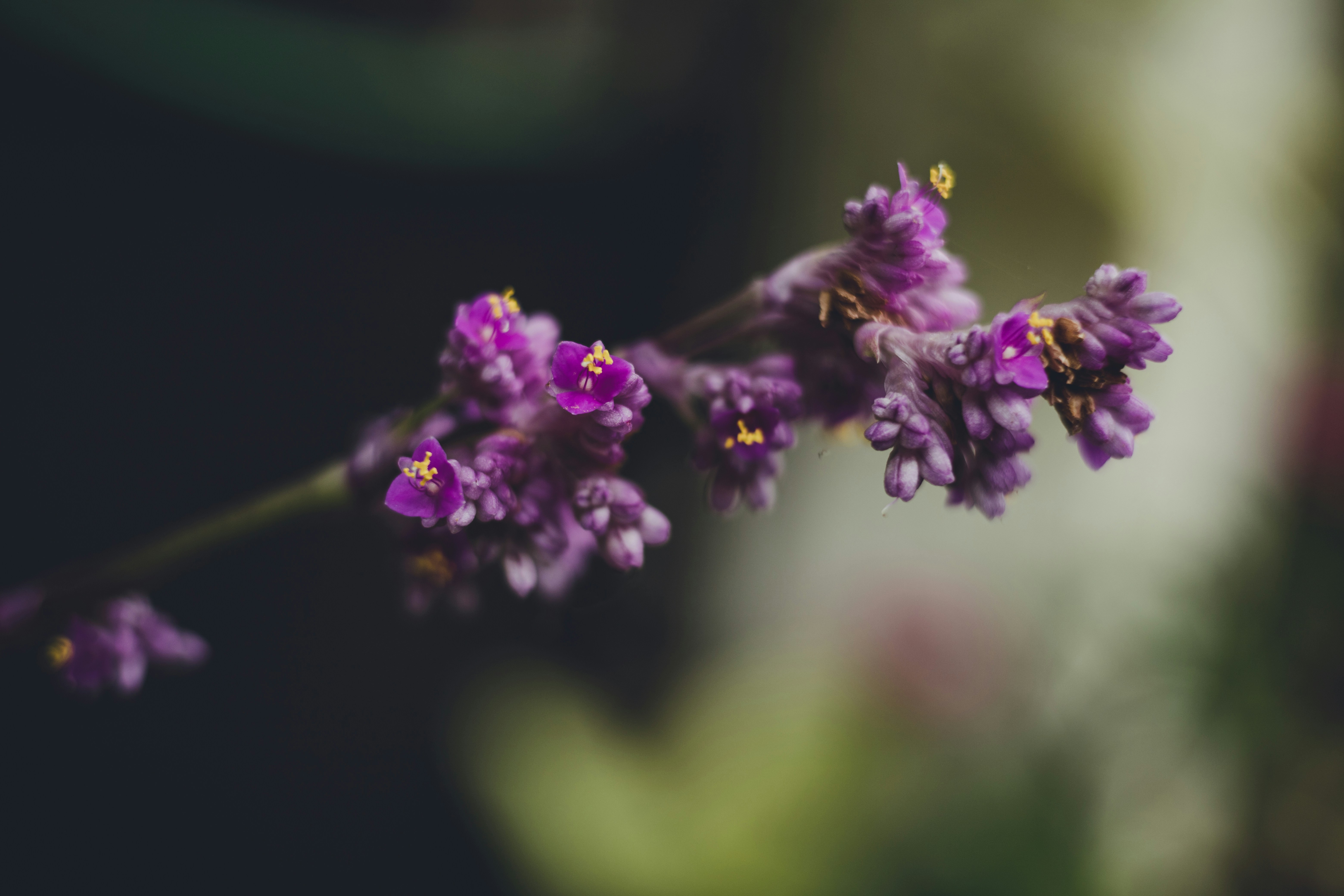 Photo by rrodriguesim