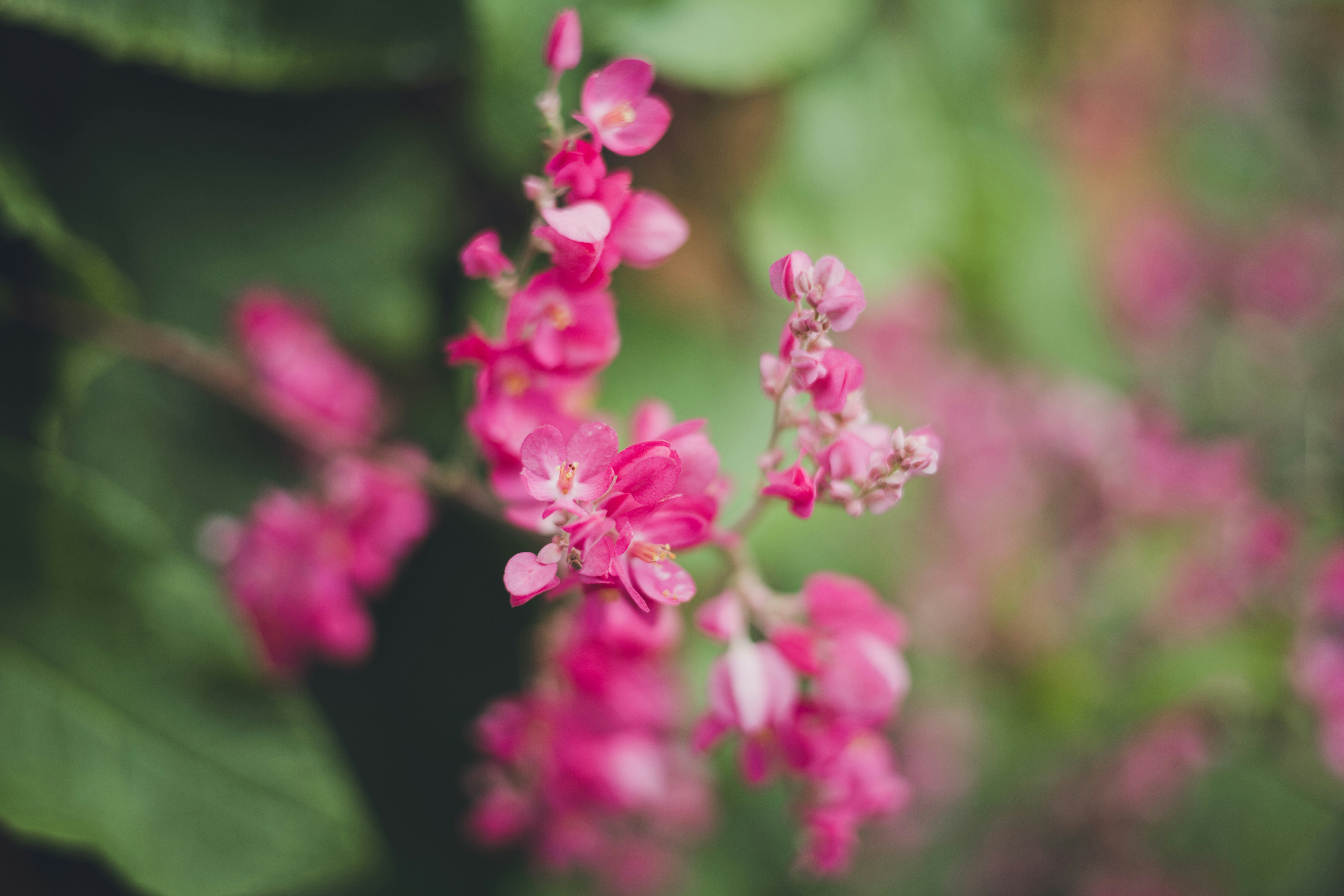 Photo by rrodriguesim