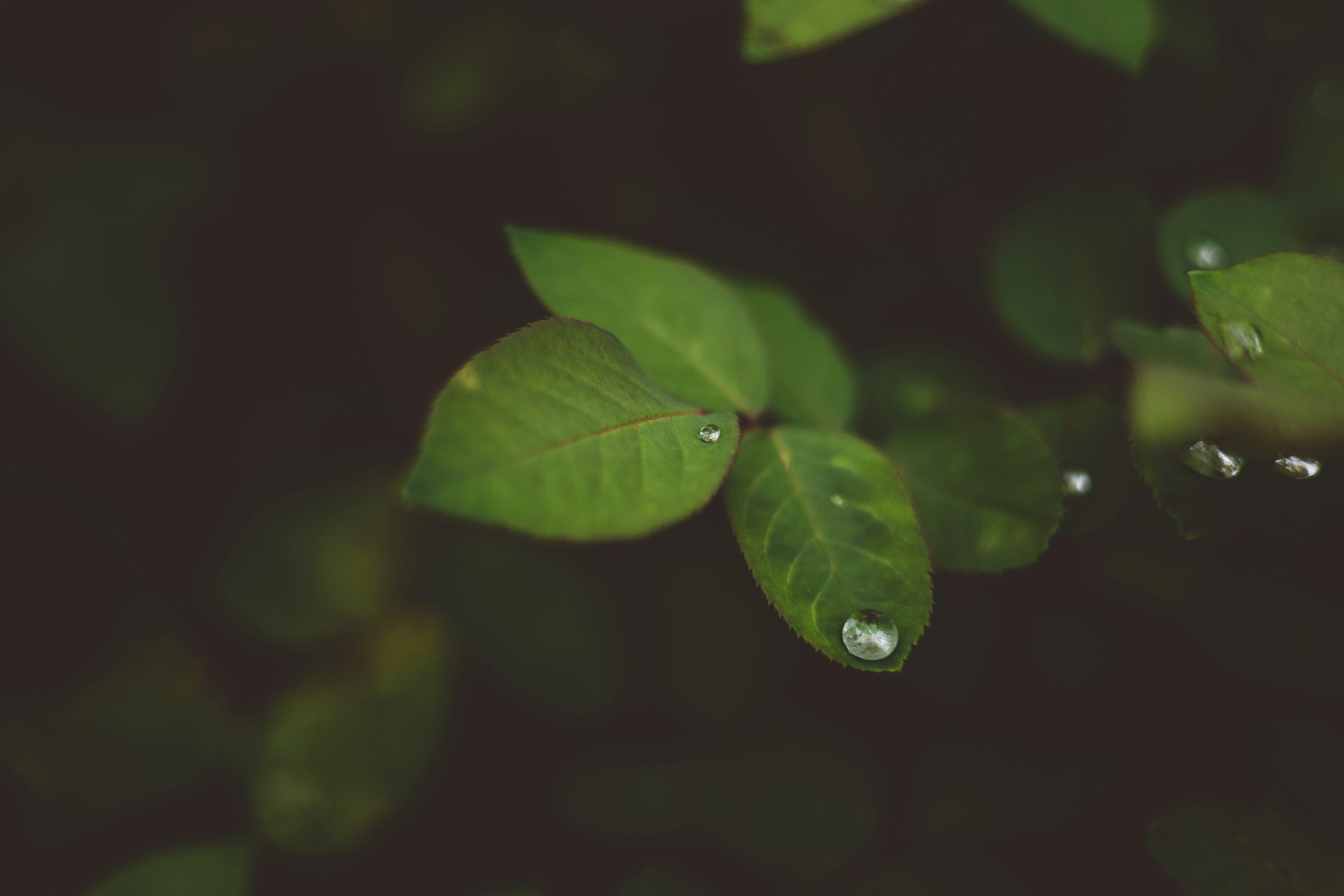 Photo by rrodriguesim