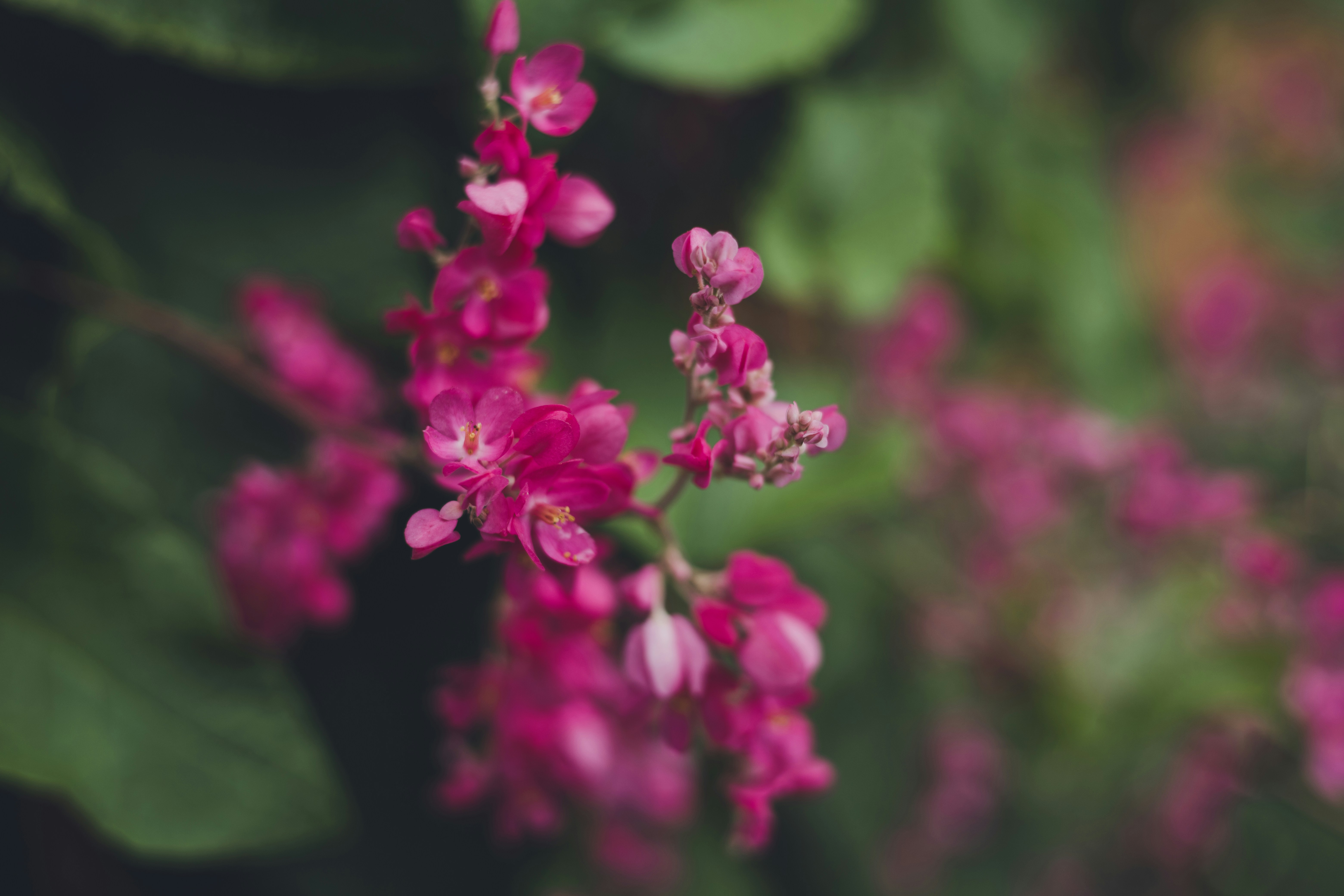 Photo by rrodriguesim