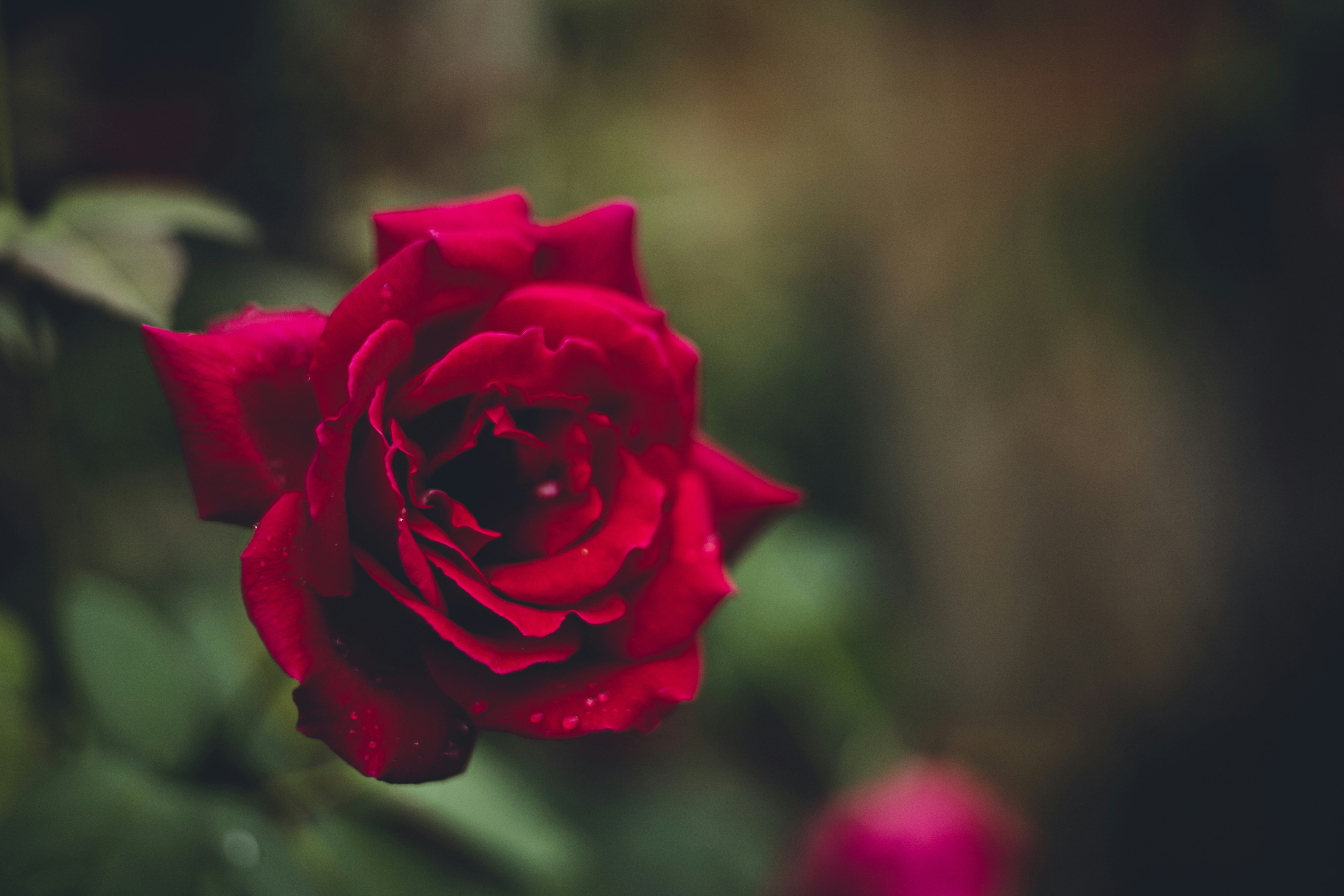 Photo by rrodriguesim