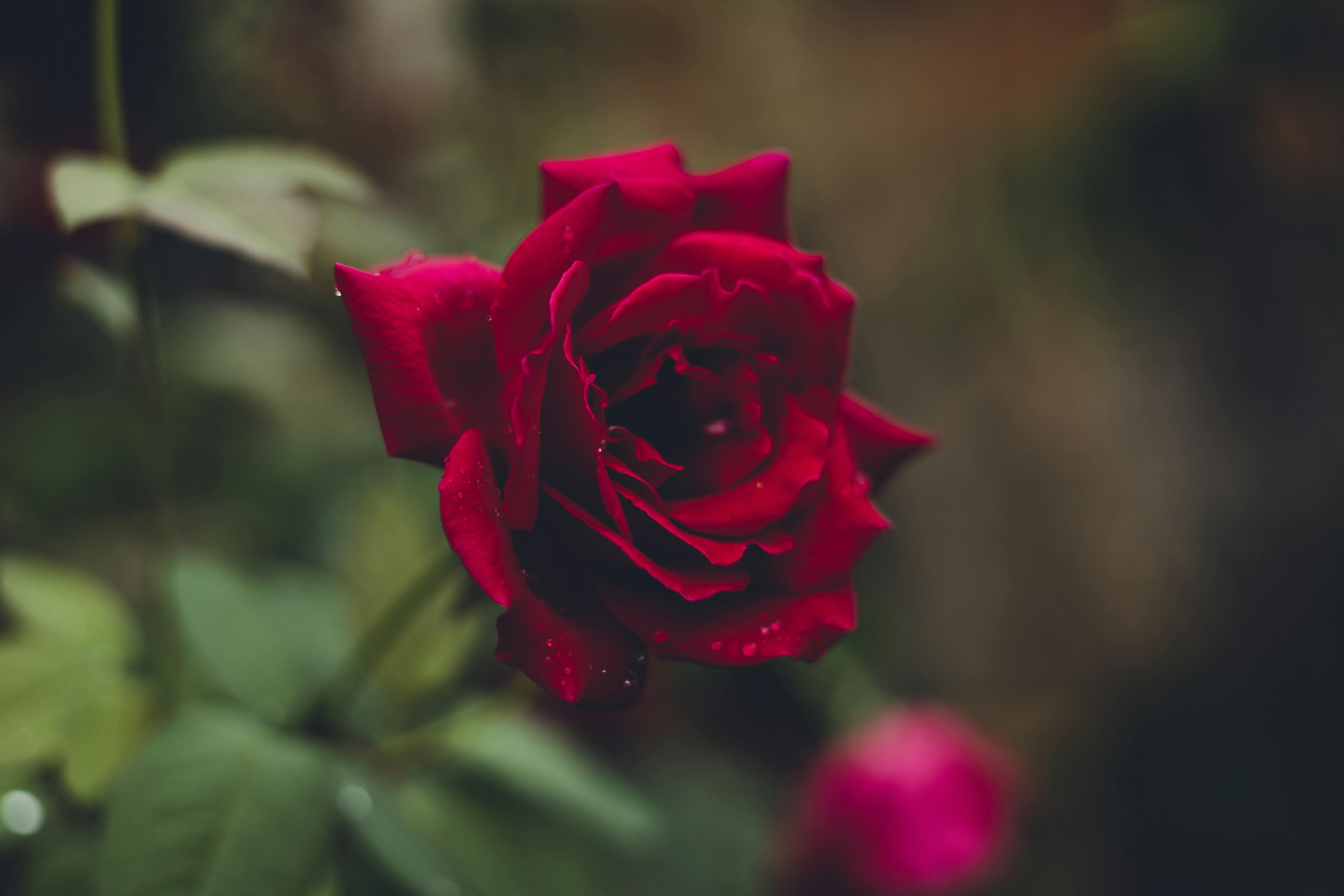 Photo by rrodriguesim