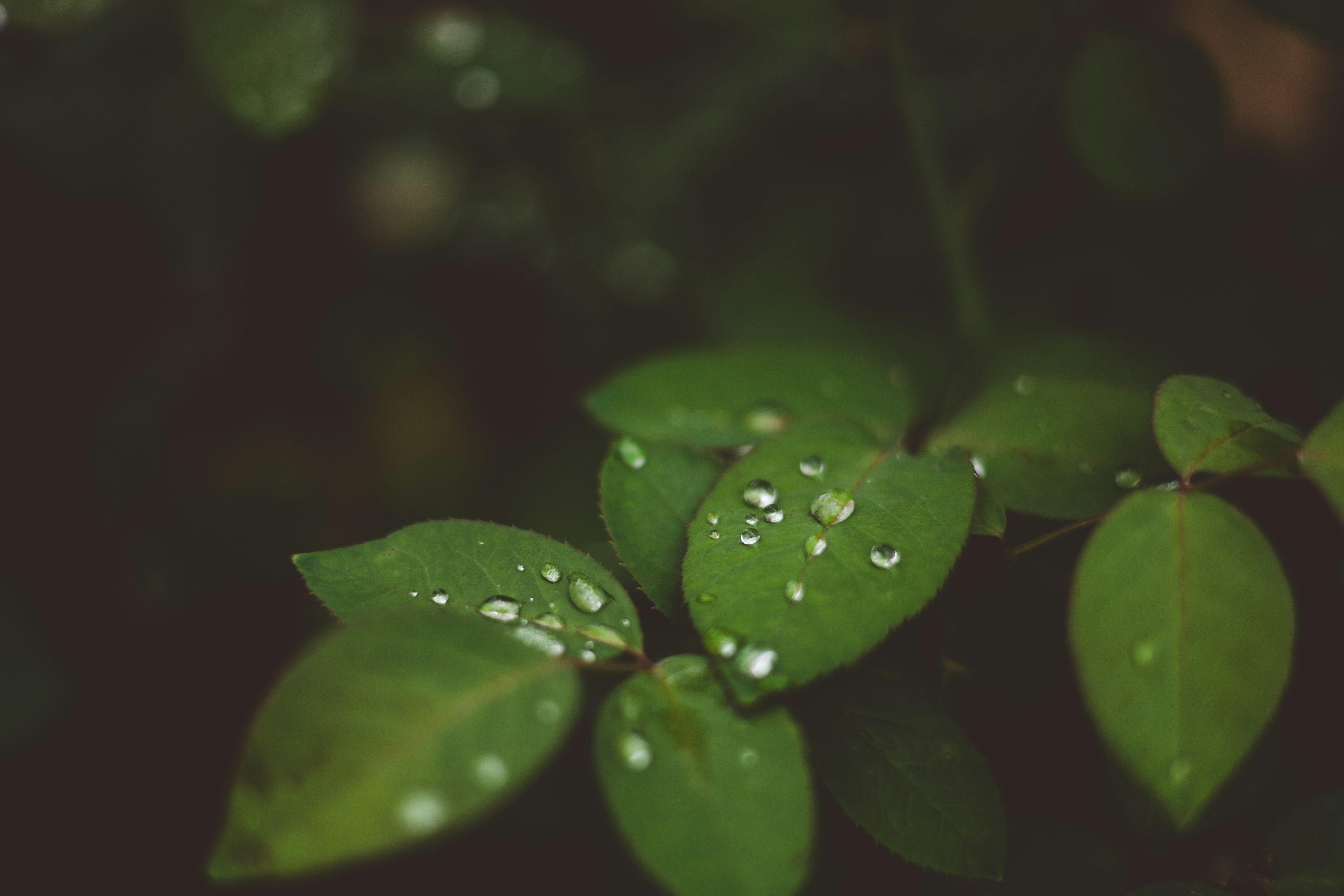 Photo by rrodriguesim