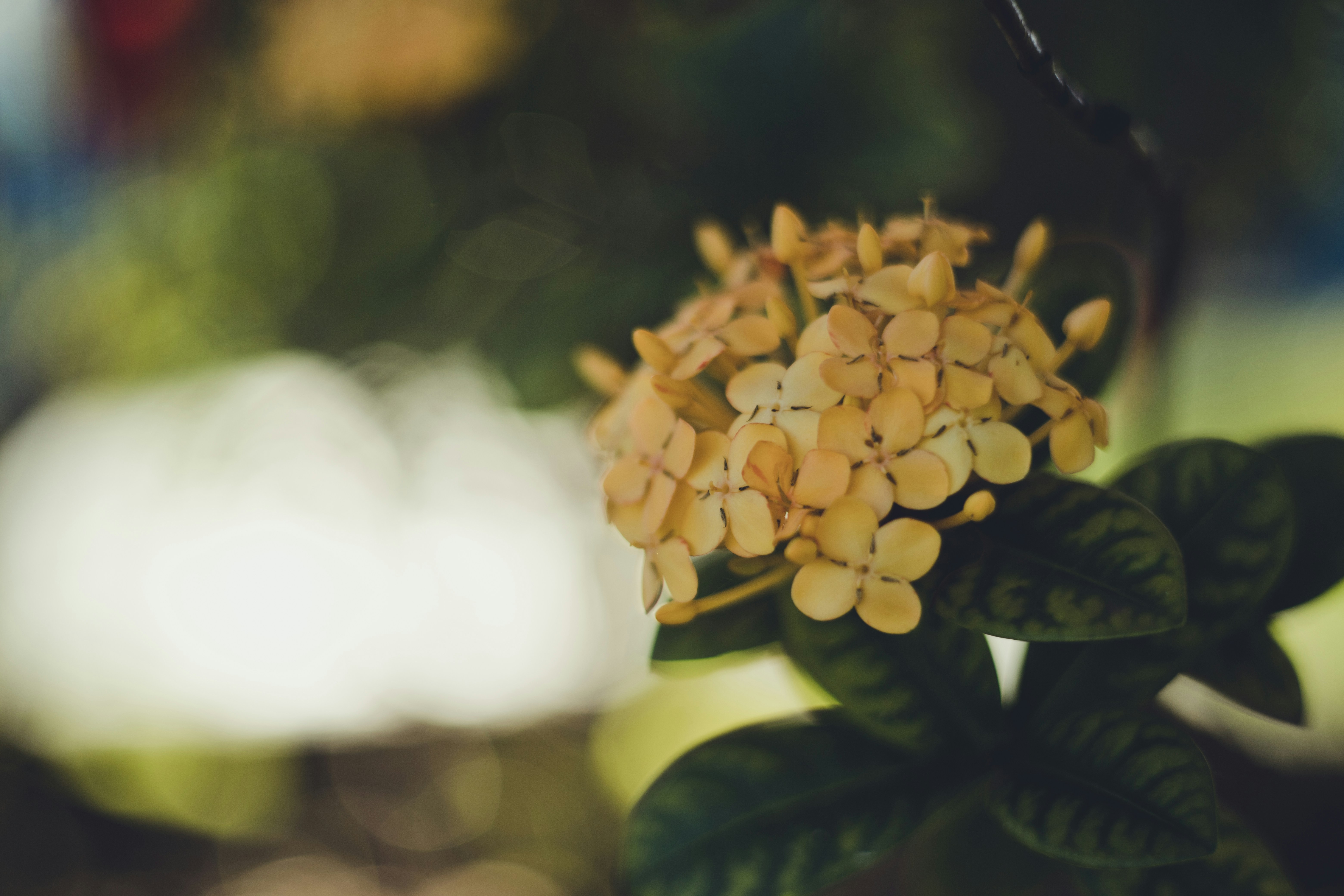 Photo by rrodriguesim