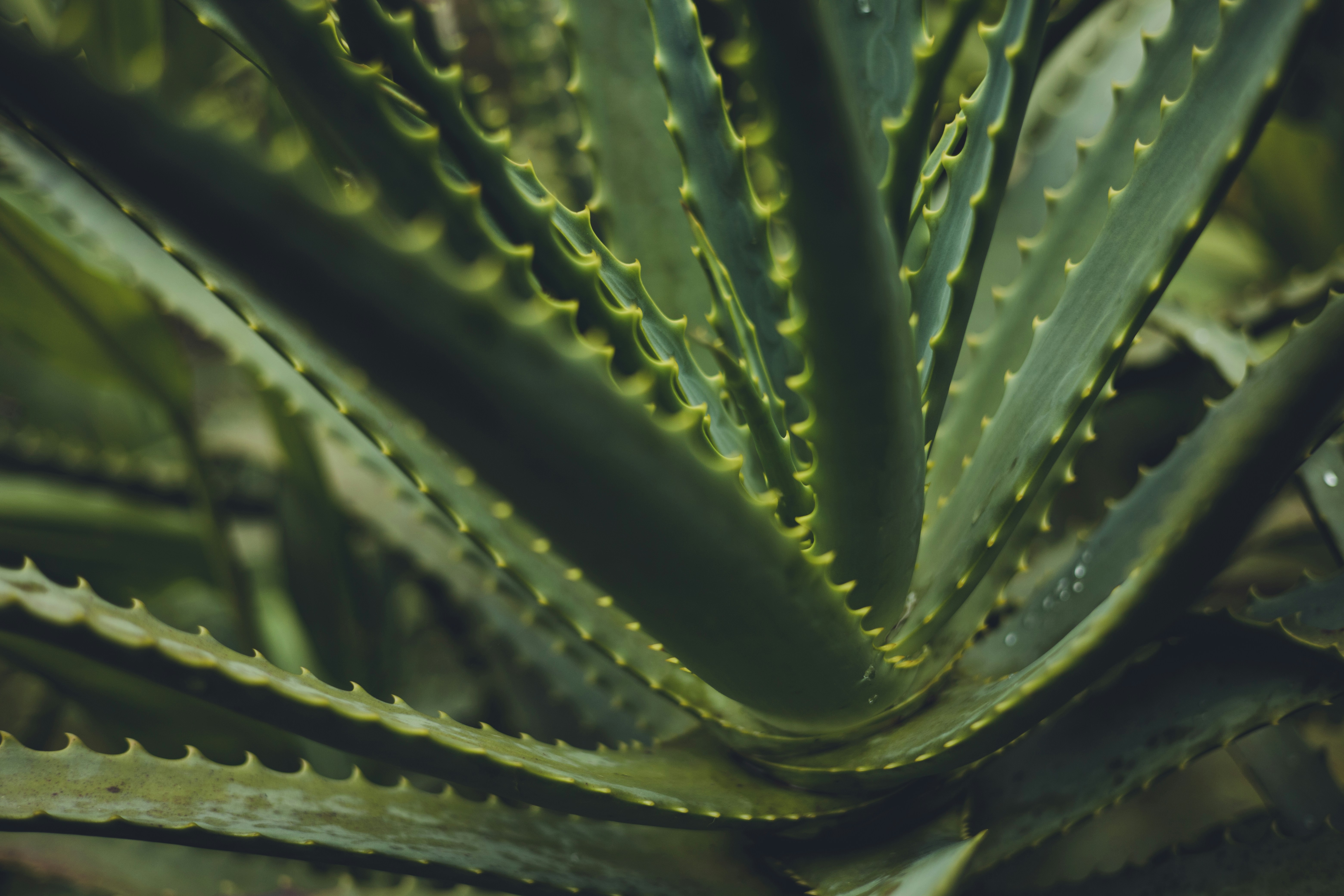 Photo by rrodriguesim