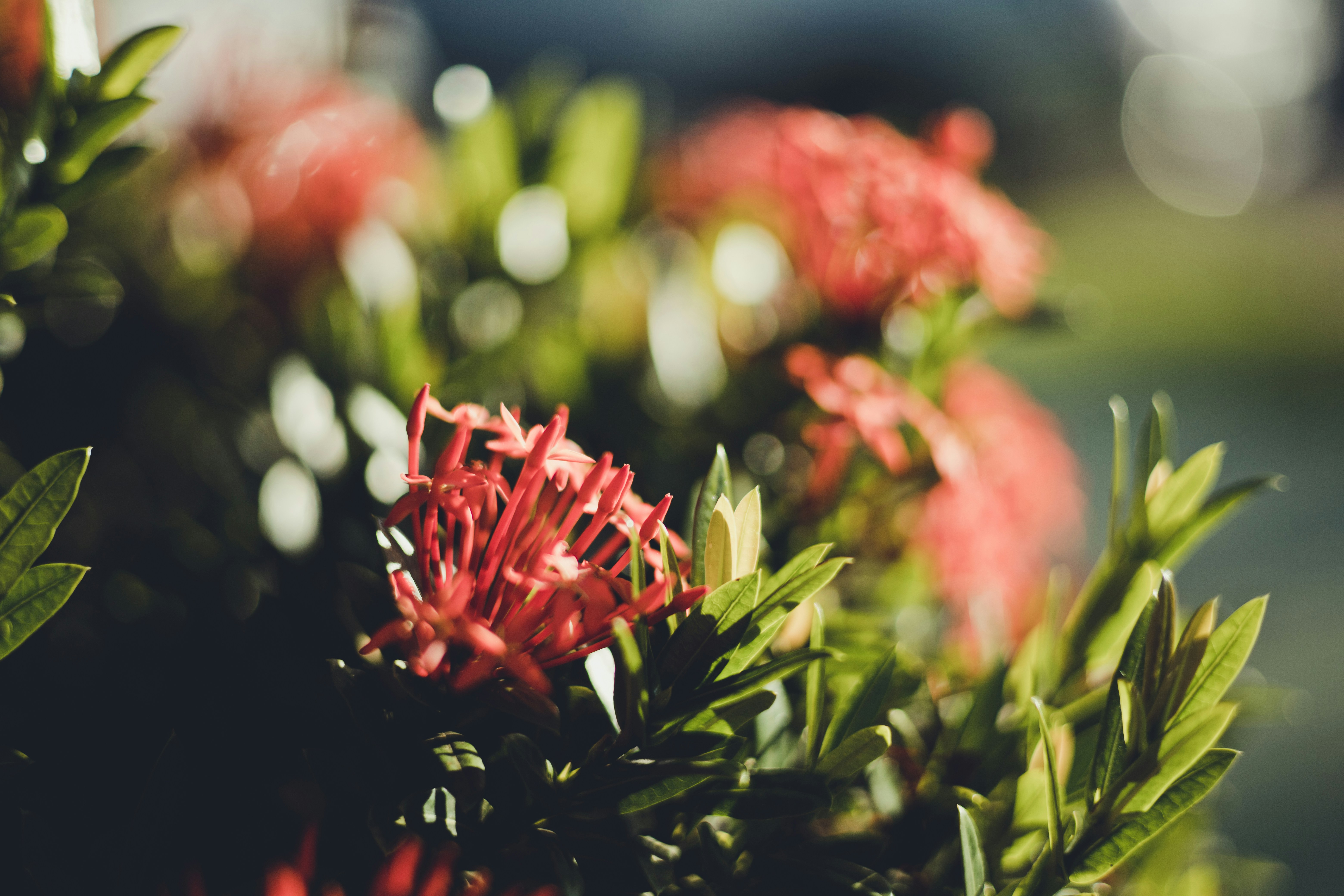 Photo by rrodriguesim