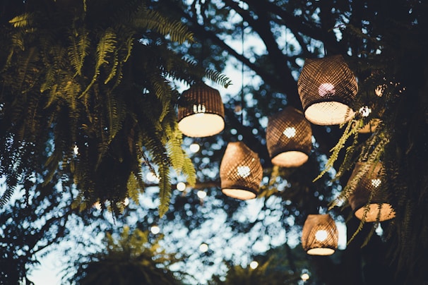 Soft lanterns hanging from branches, casting a warm glow over an intimate outdoor gathering at dusk.