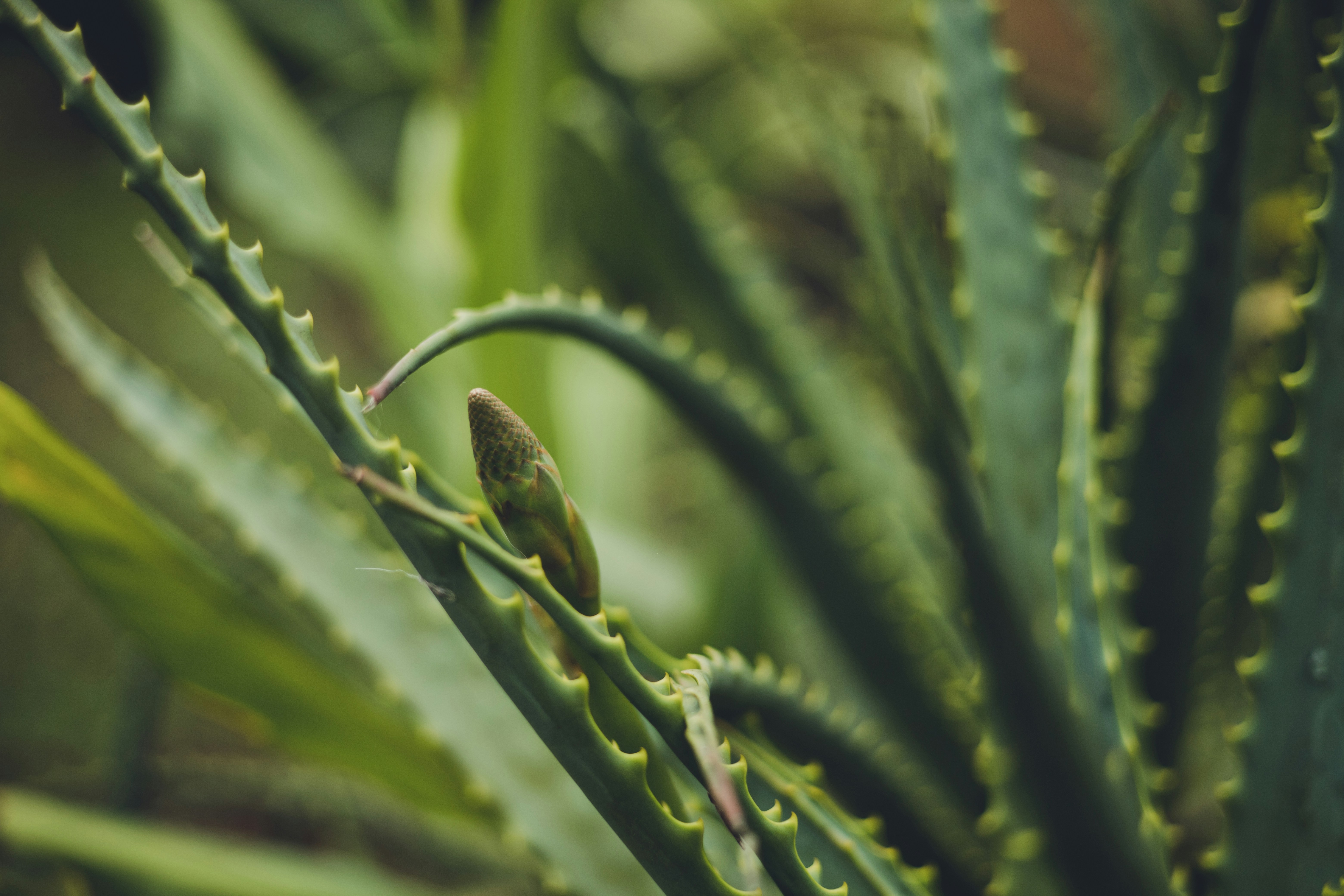 Photo by rrodriguesim