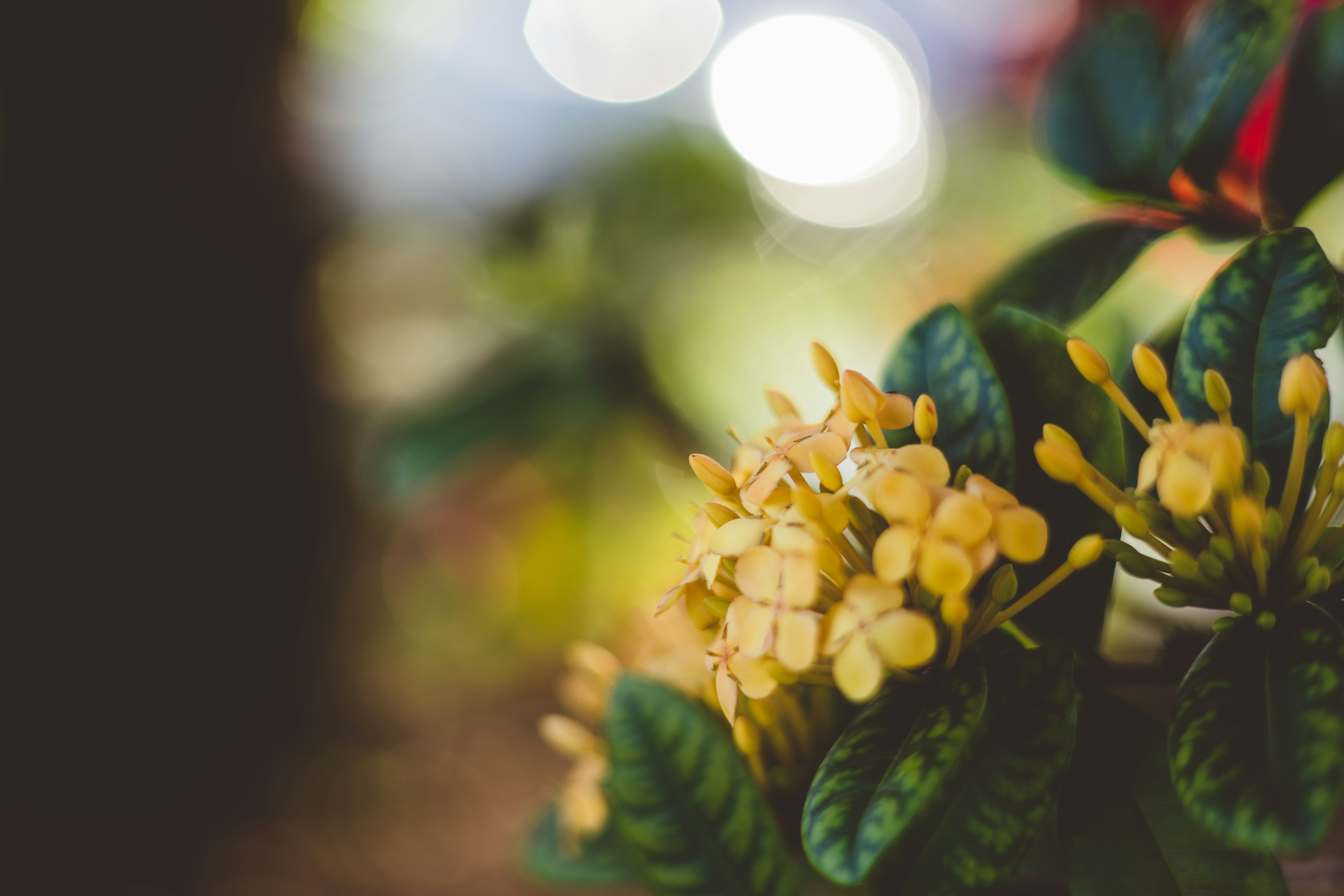 Photo by rrodriguesim