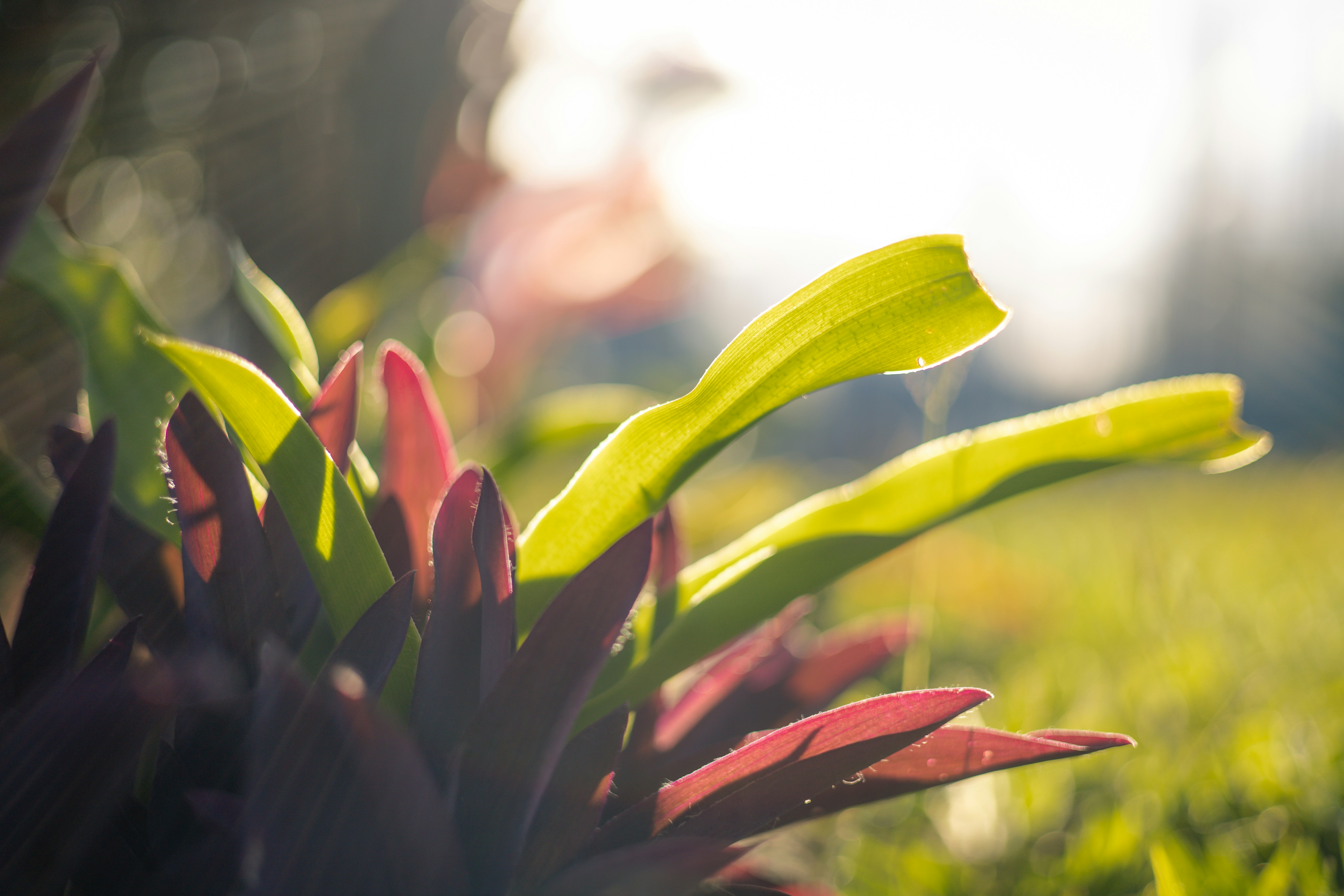 Photo by rrodriguesim