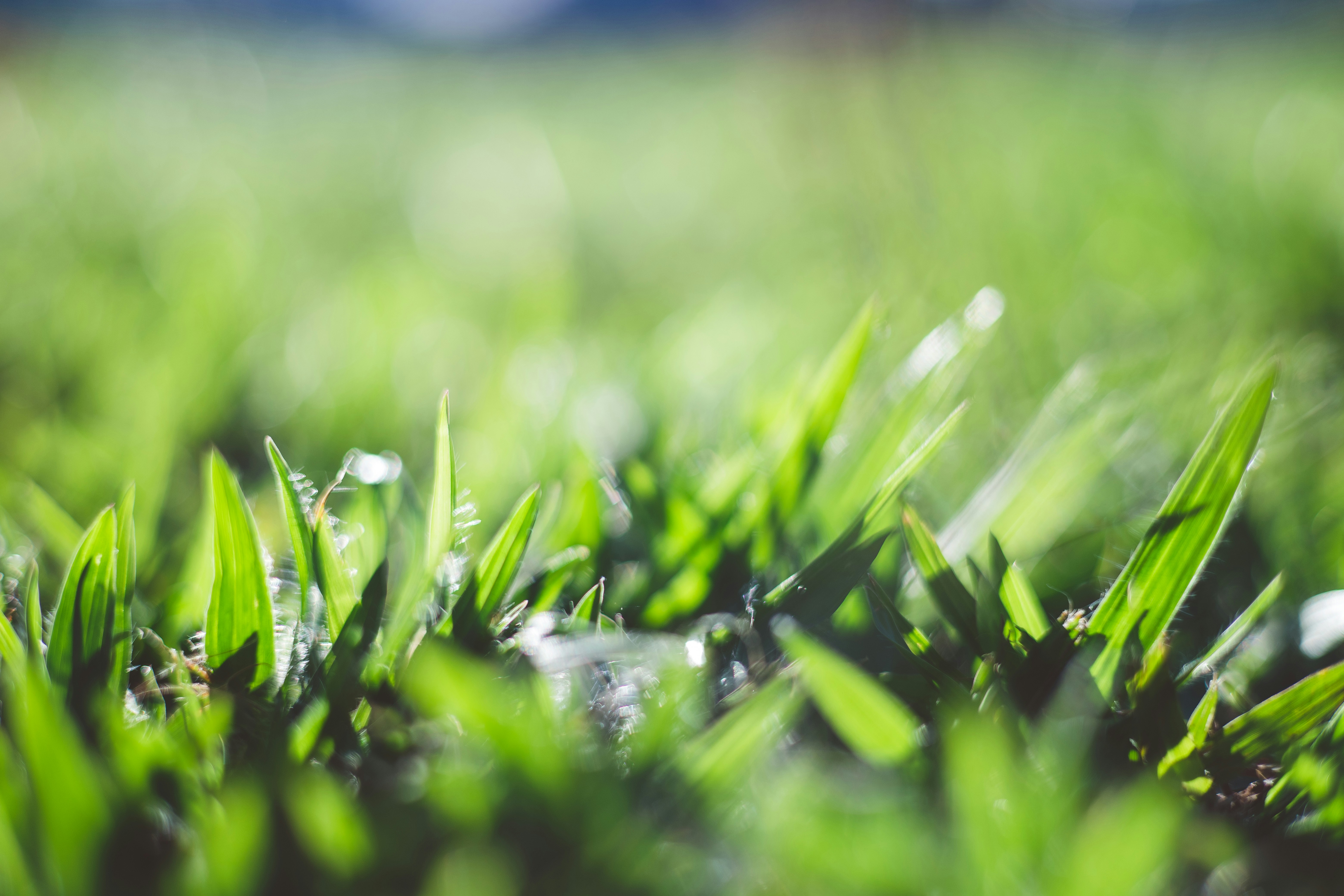 Photo by rrodriguesim