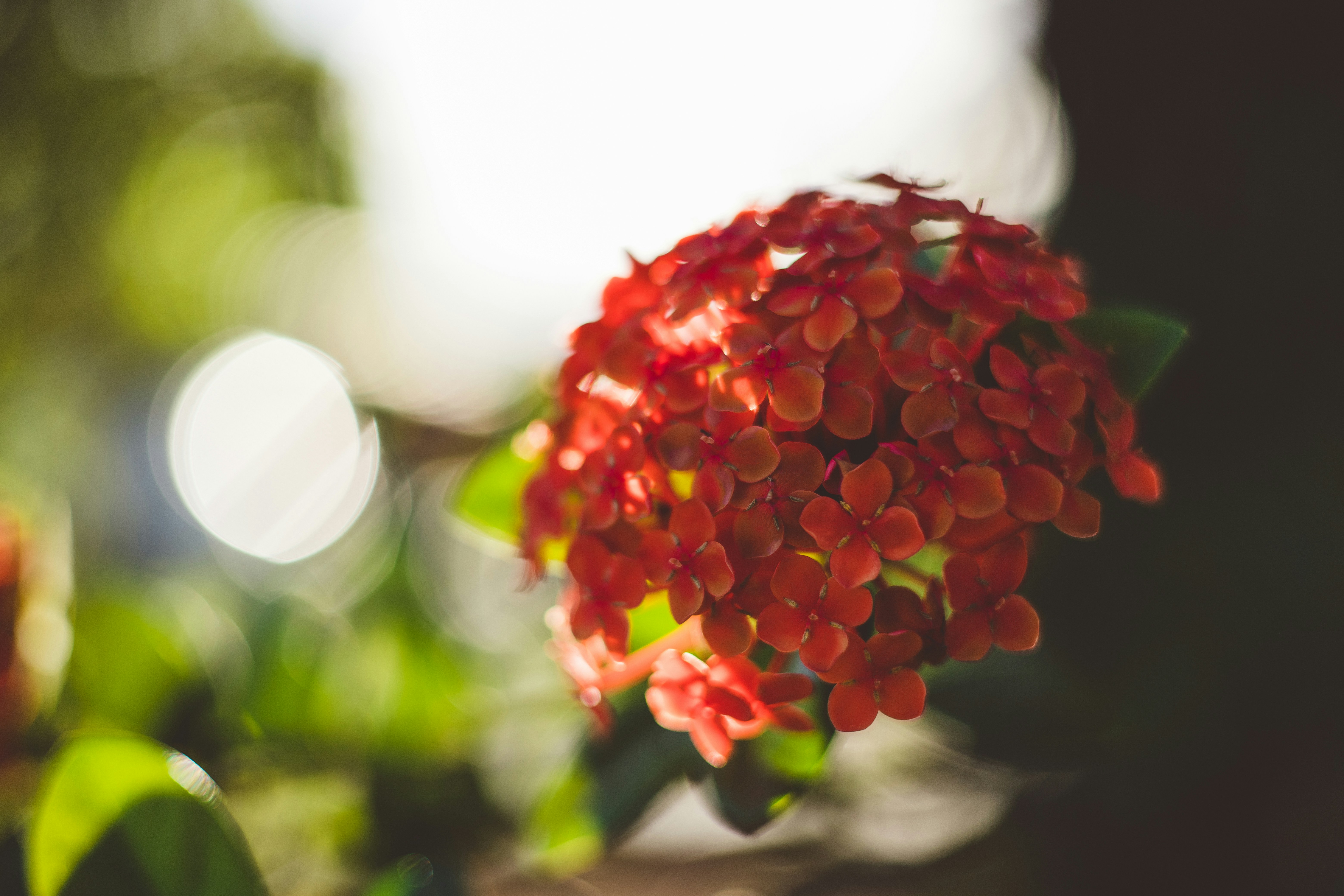 Photo by rrodriguesim