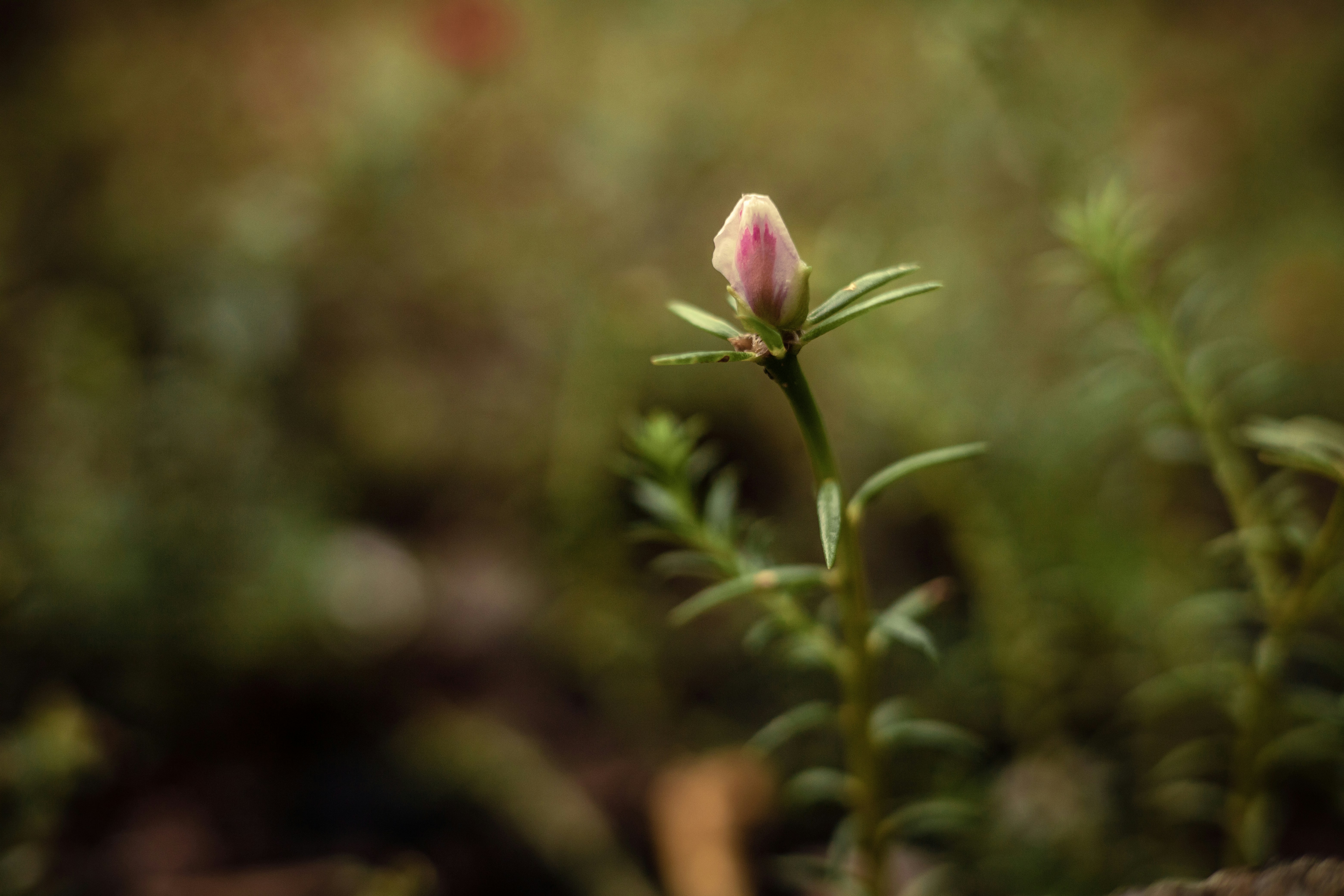 Photo by rrodriguesim