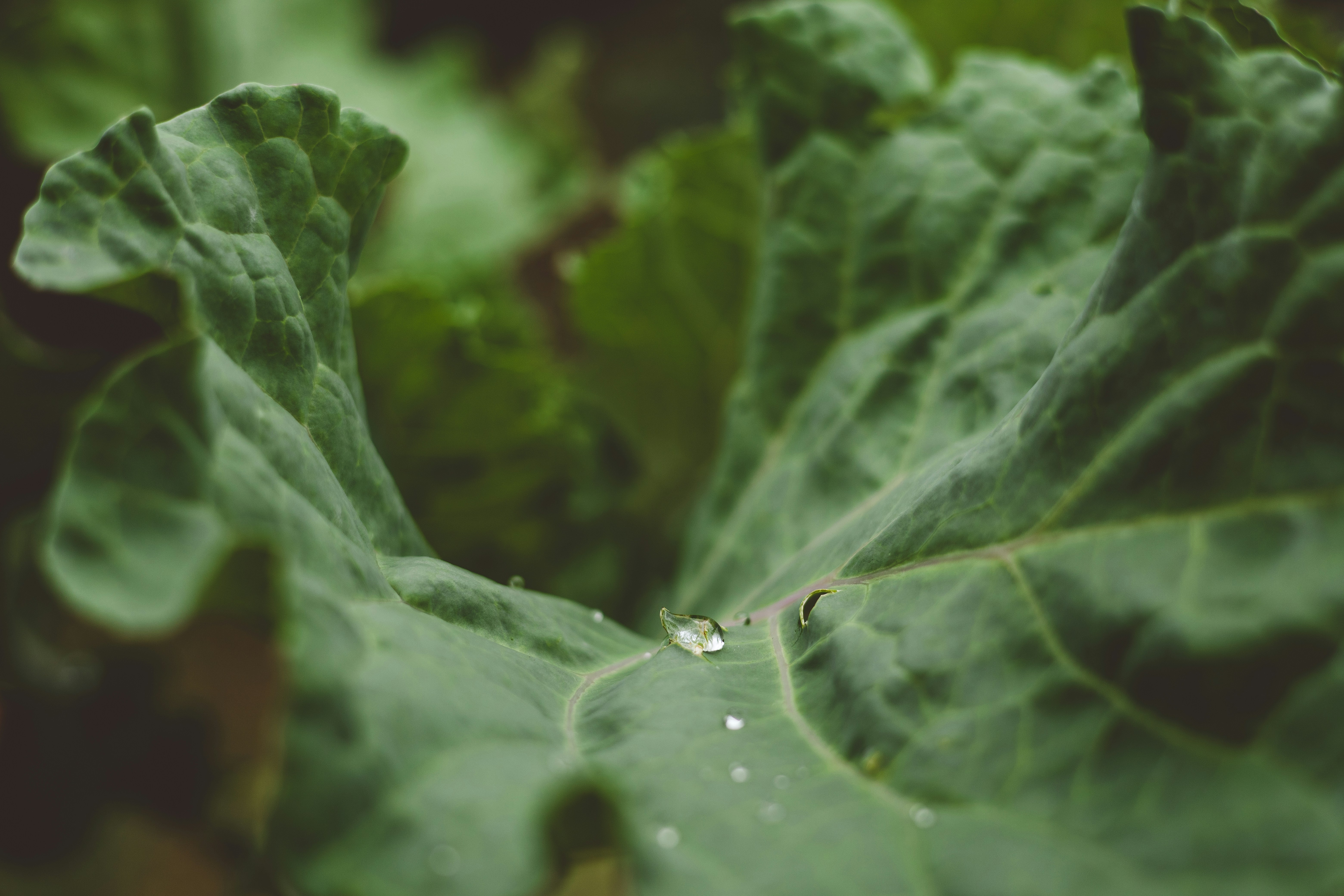 Photo by rrodriguesim