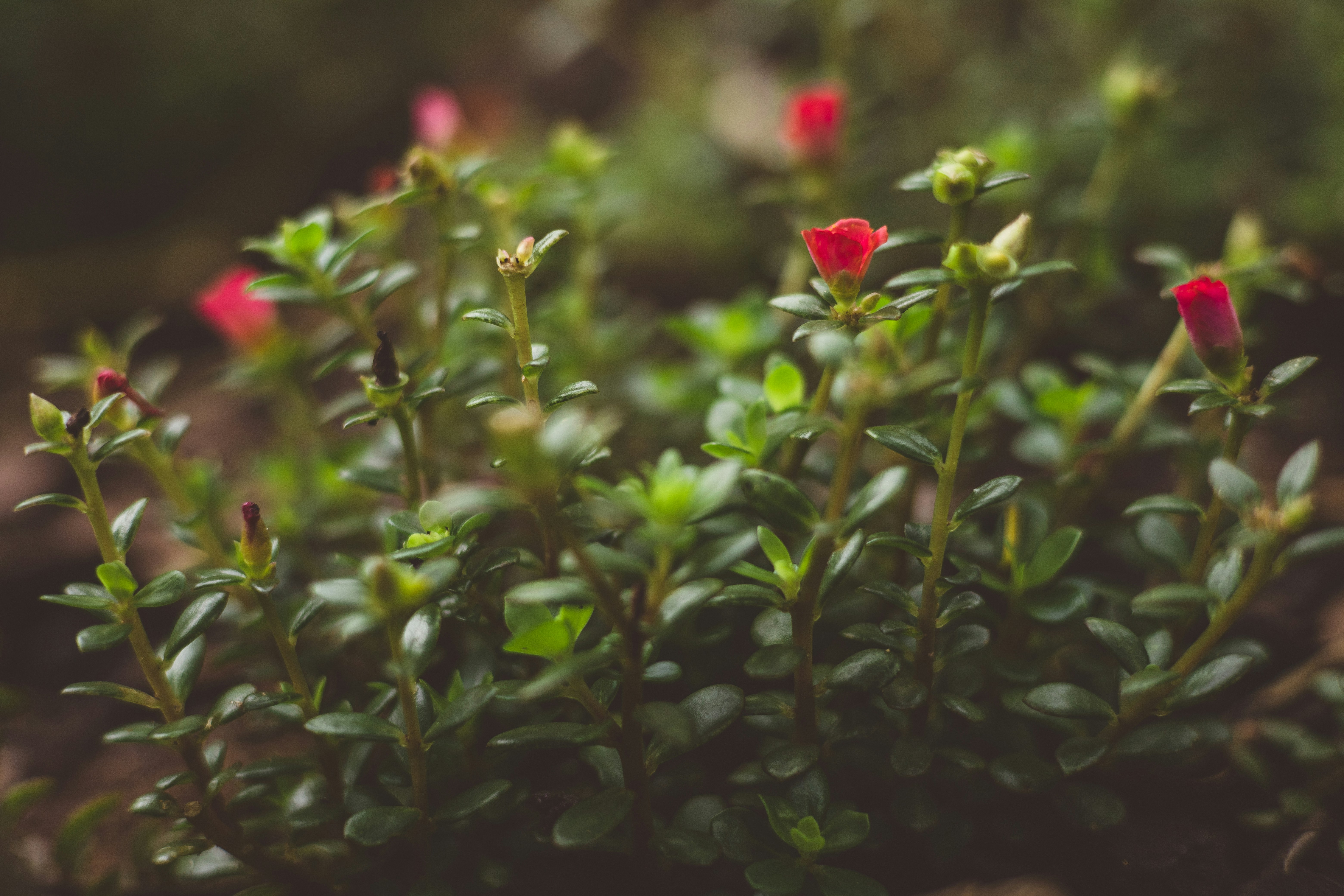 Photo by rrodriguesim