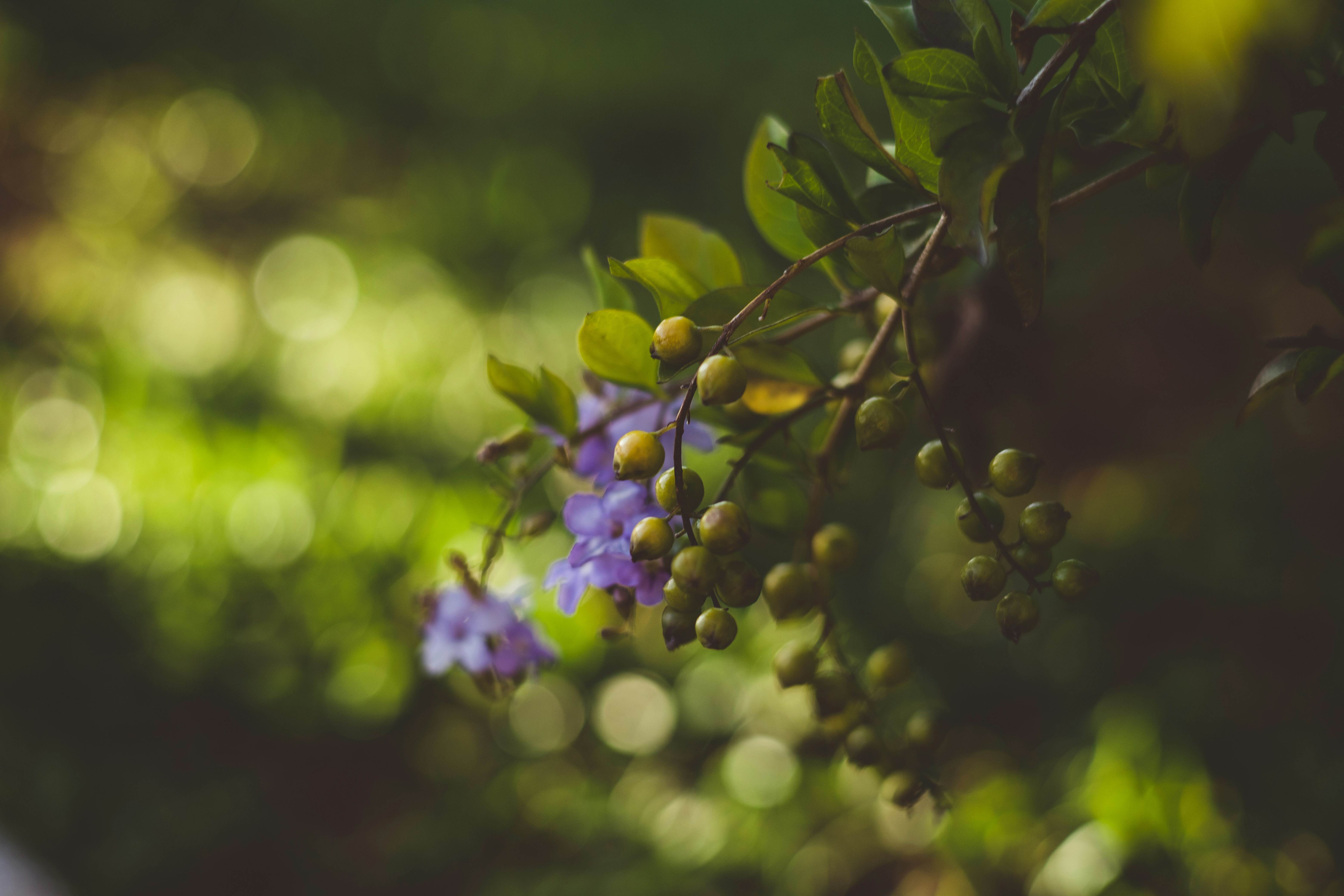 Photo by rrodriguesim