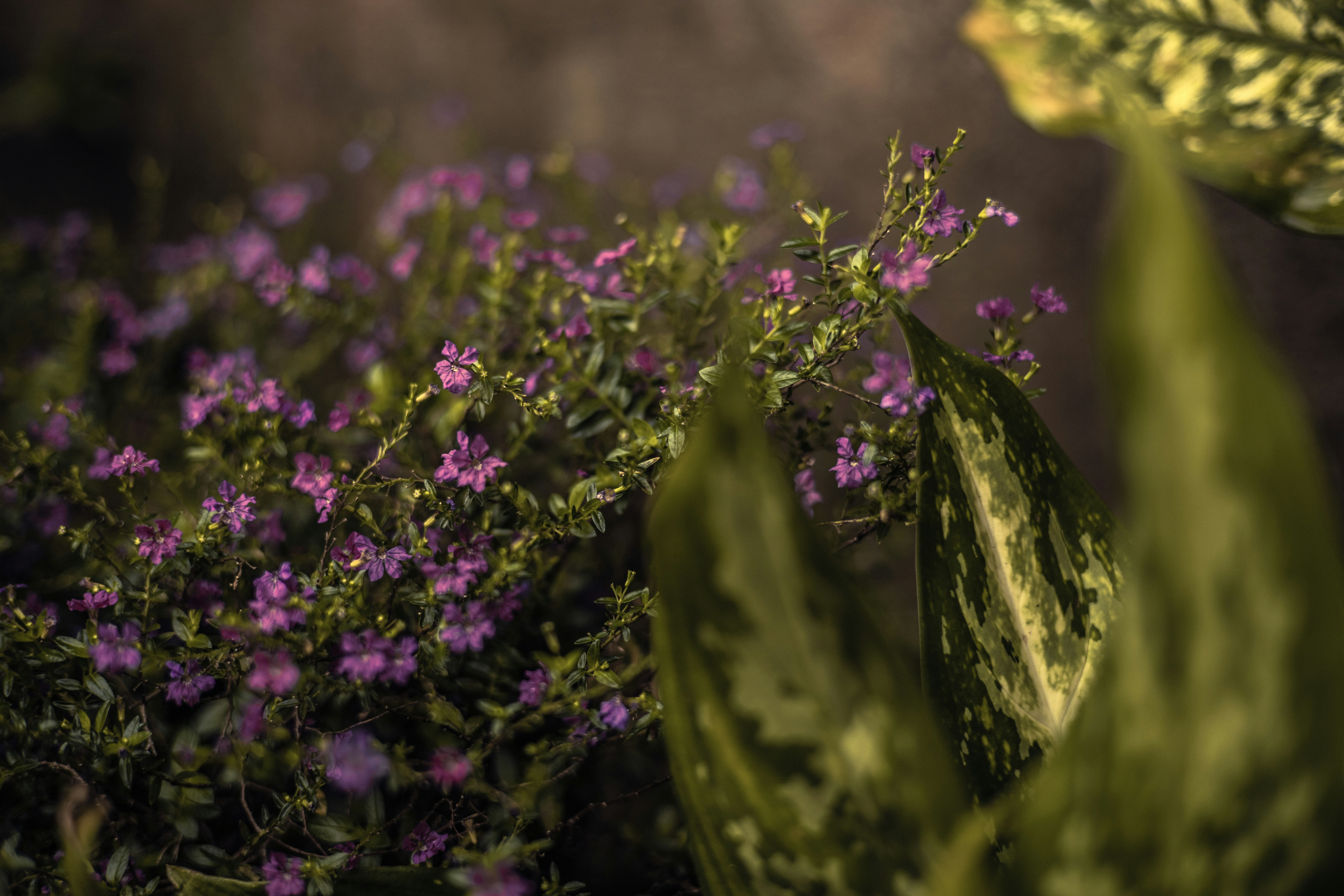 Photo by rrodriguesim