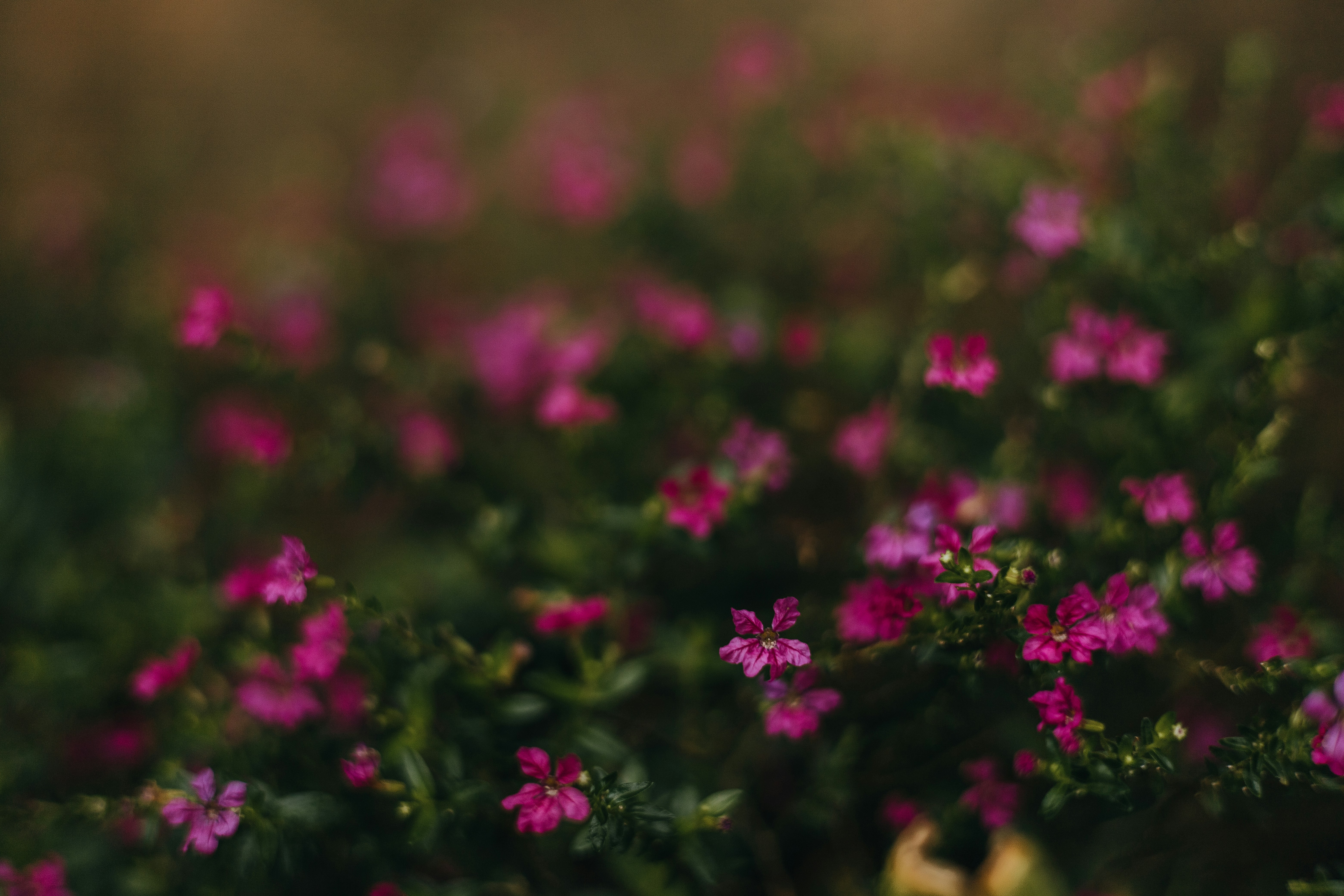 Photo by rrodriguesim