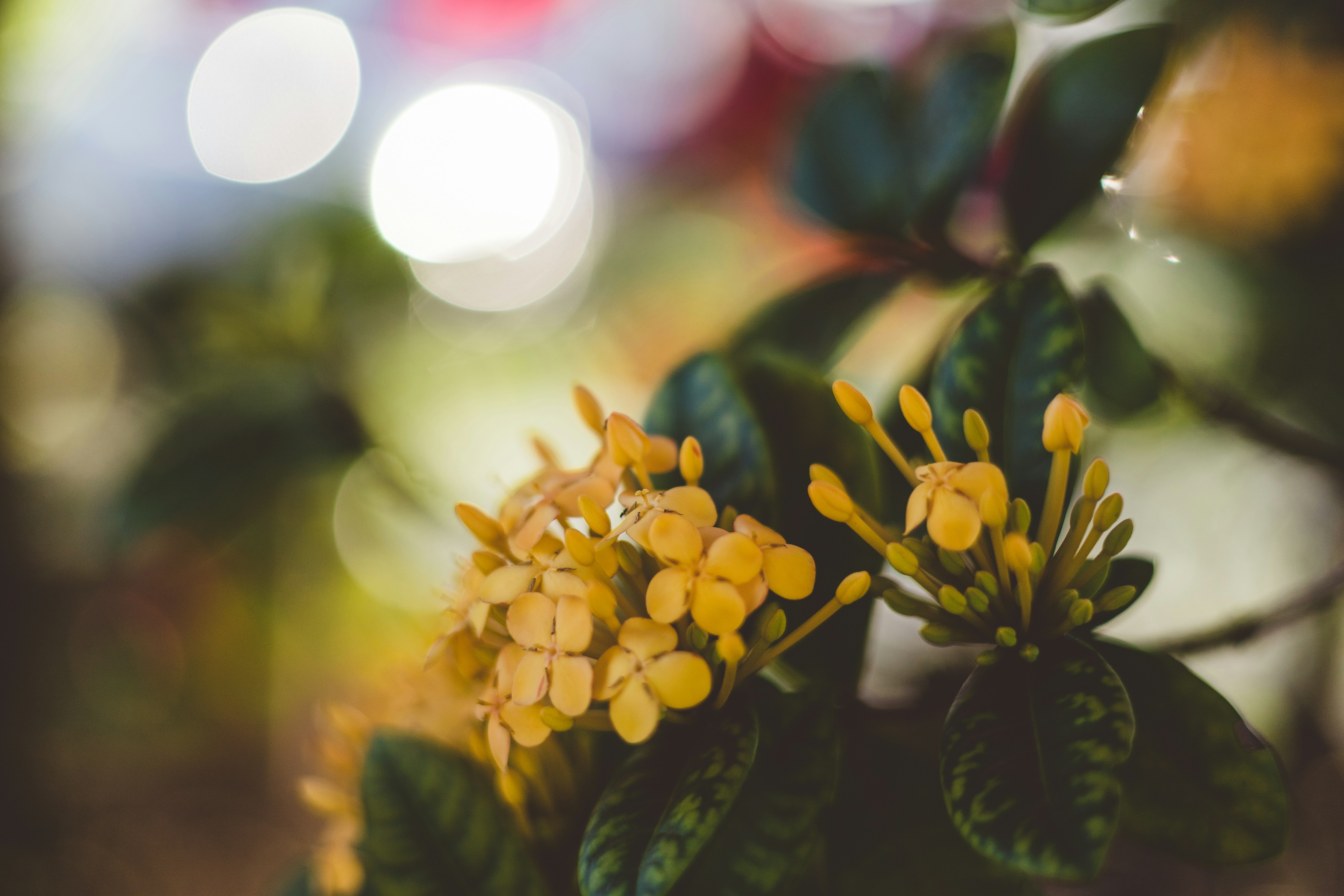 Photo by rrodriguesim