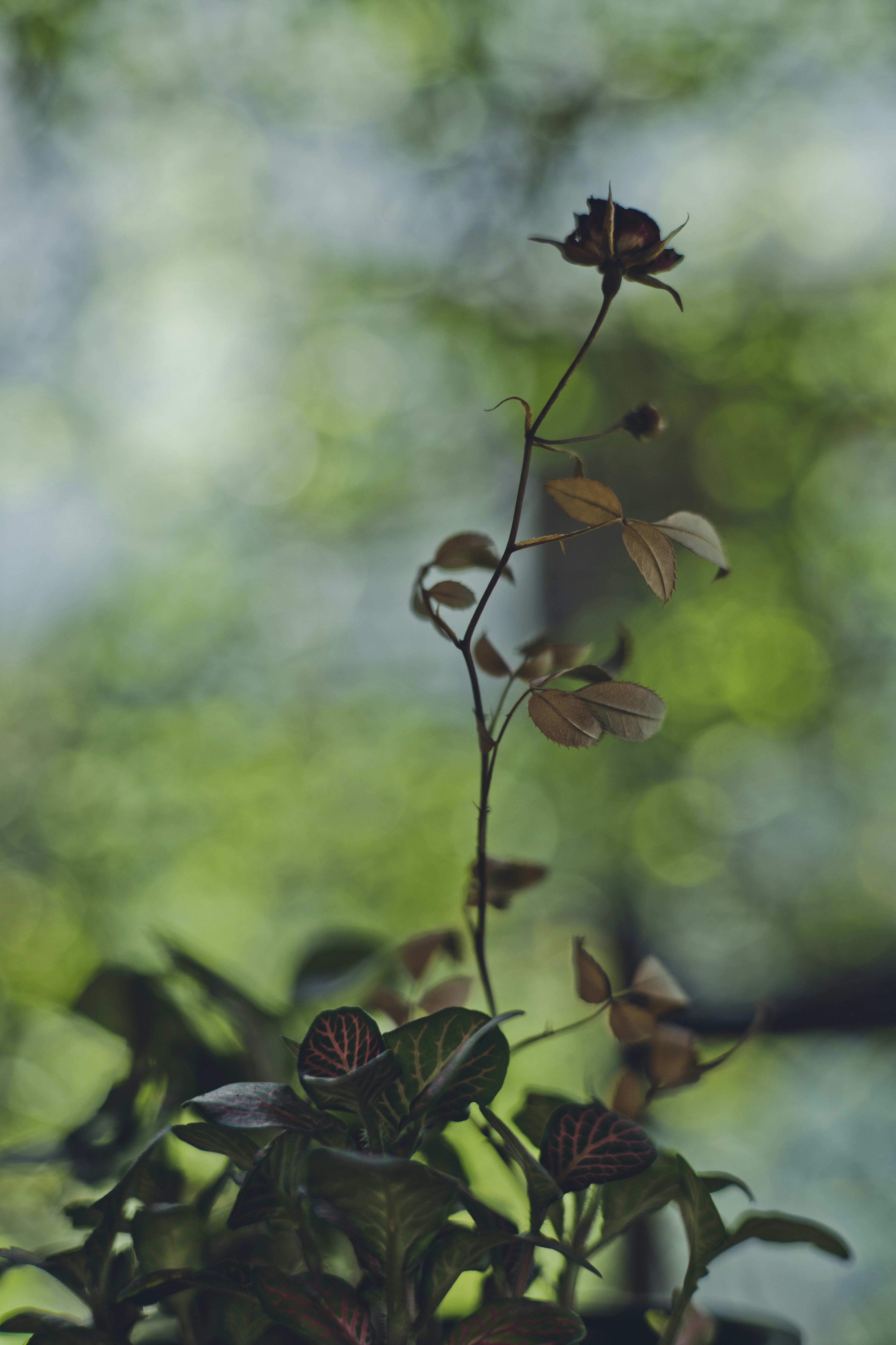 Photo by rrodriguesim