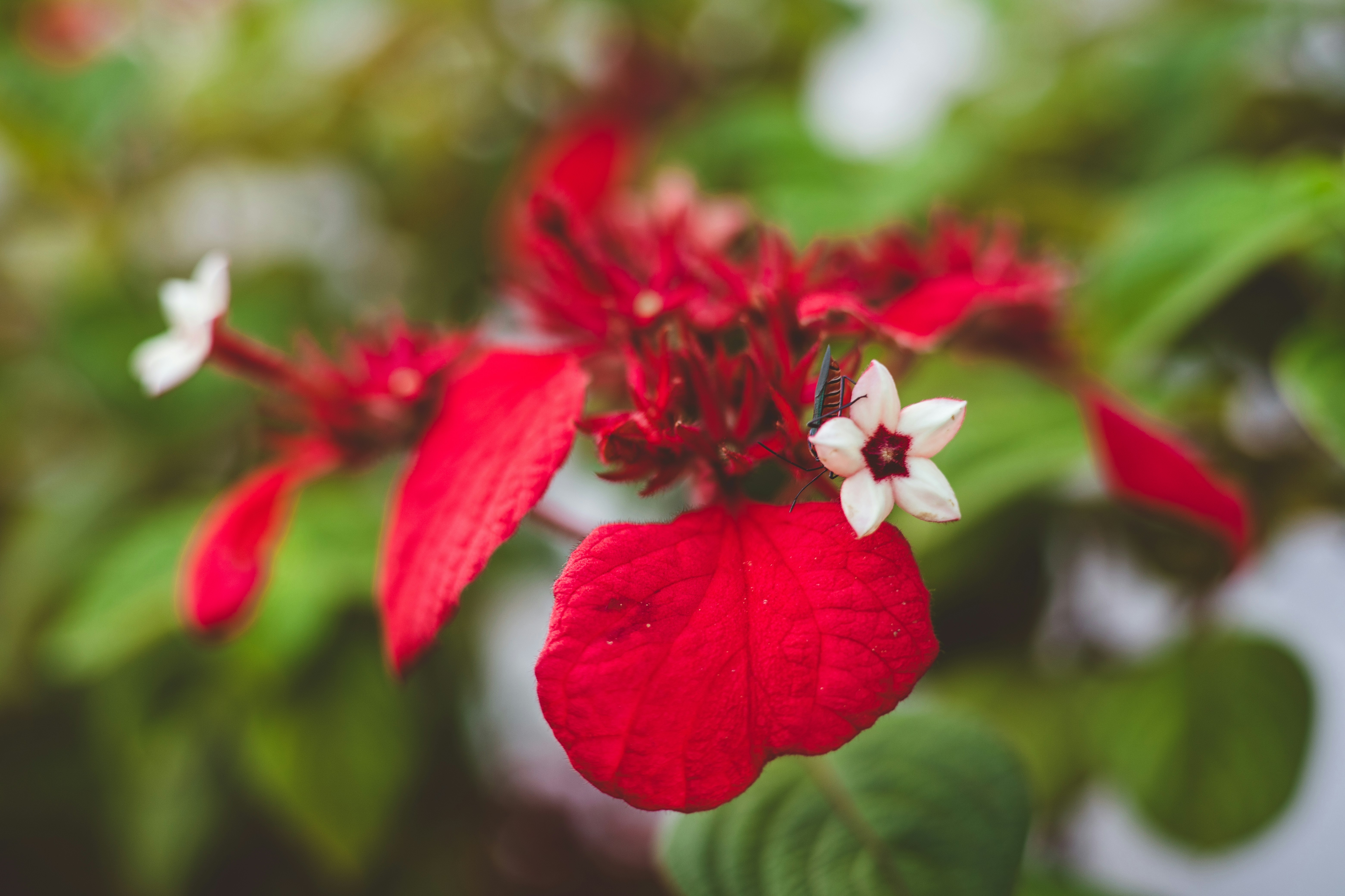 Photo by rrodriguesim