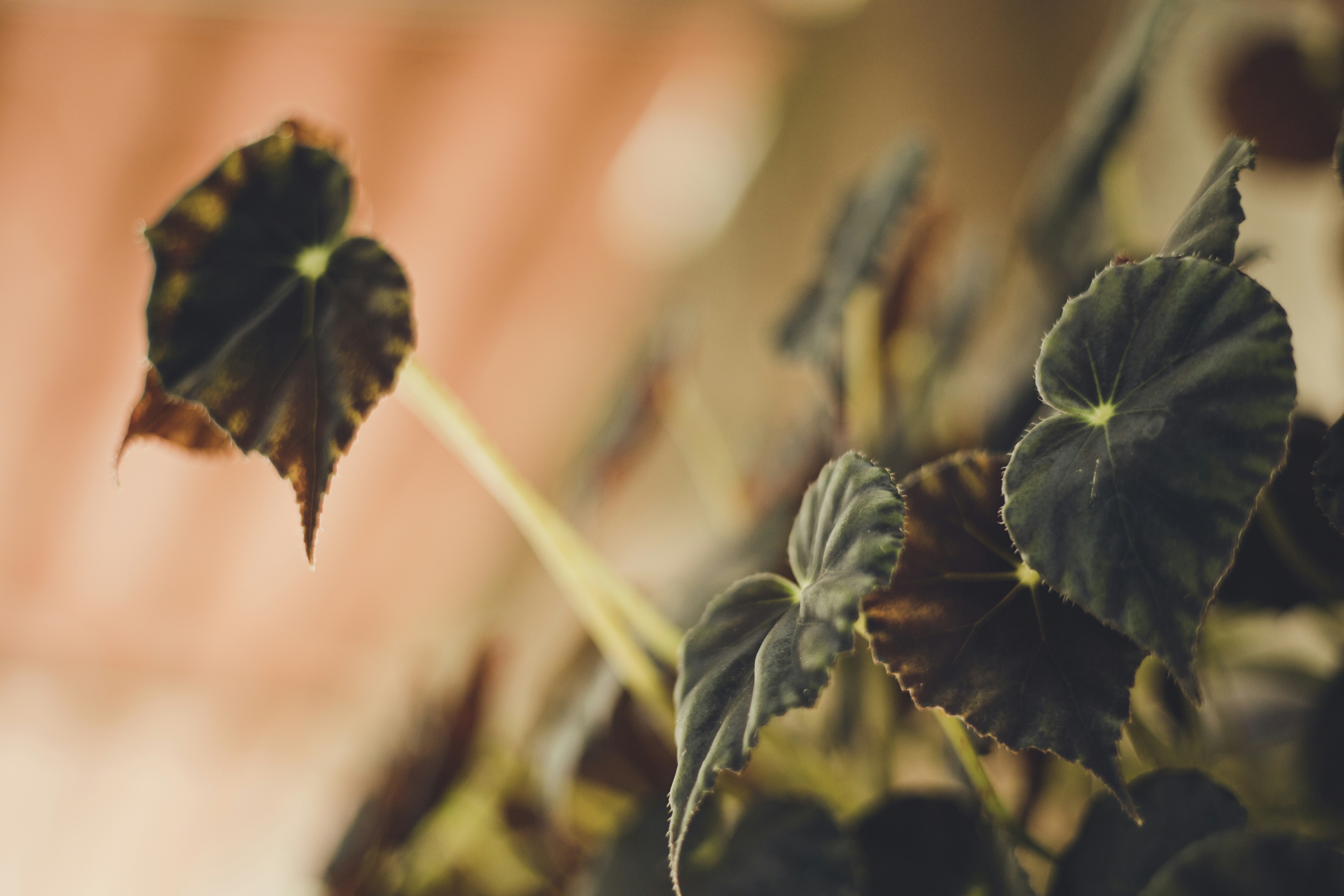 Photo by rrodriguesim