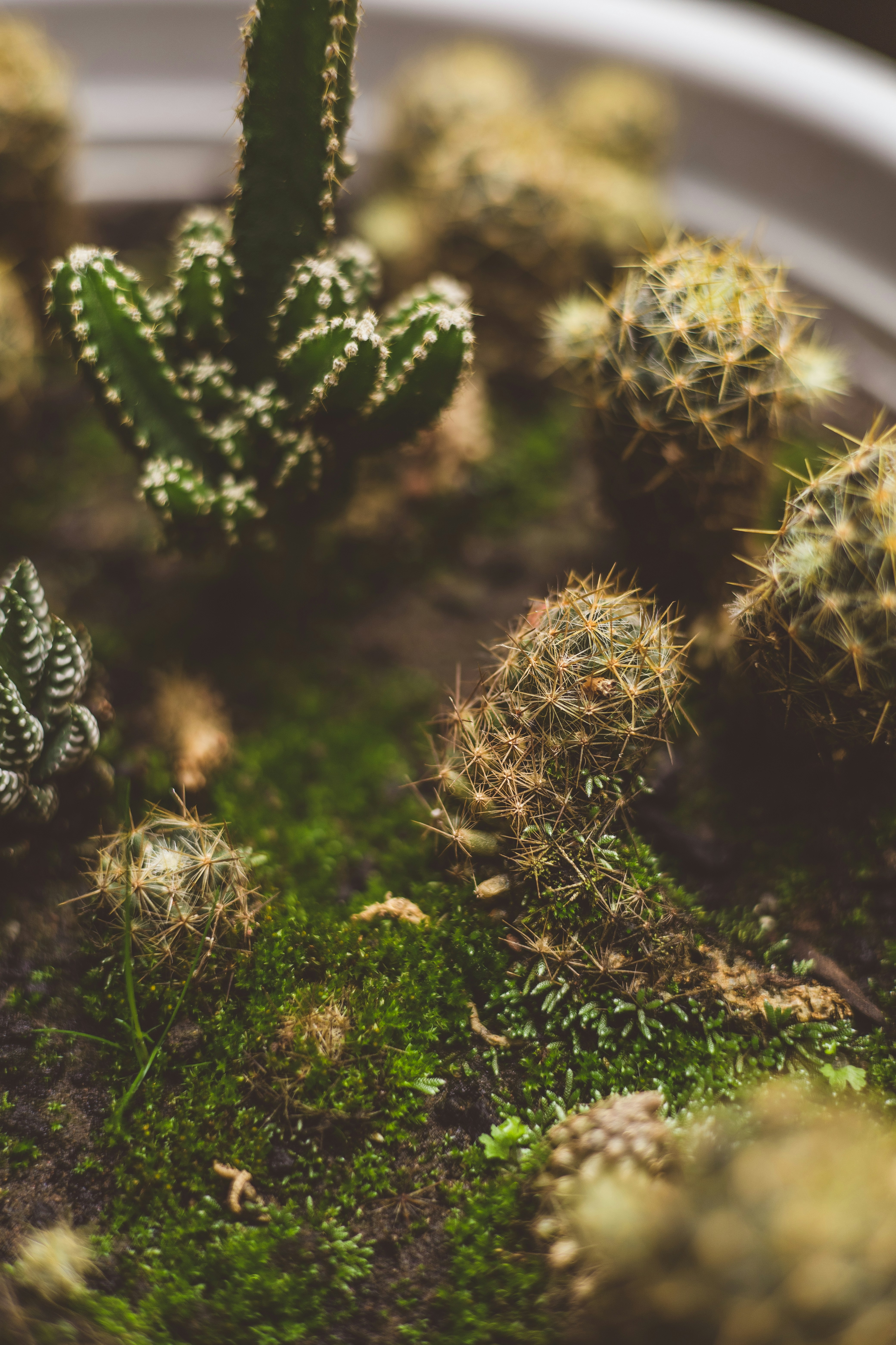 Photo by rrodriguesim