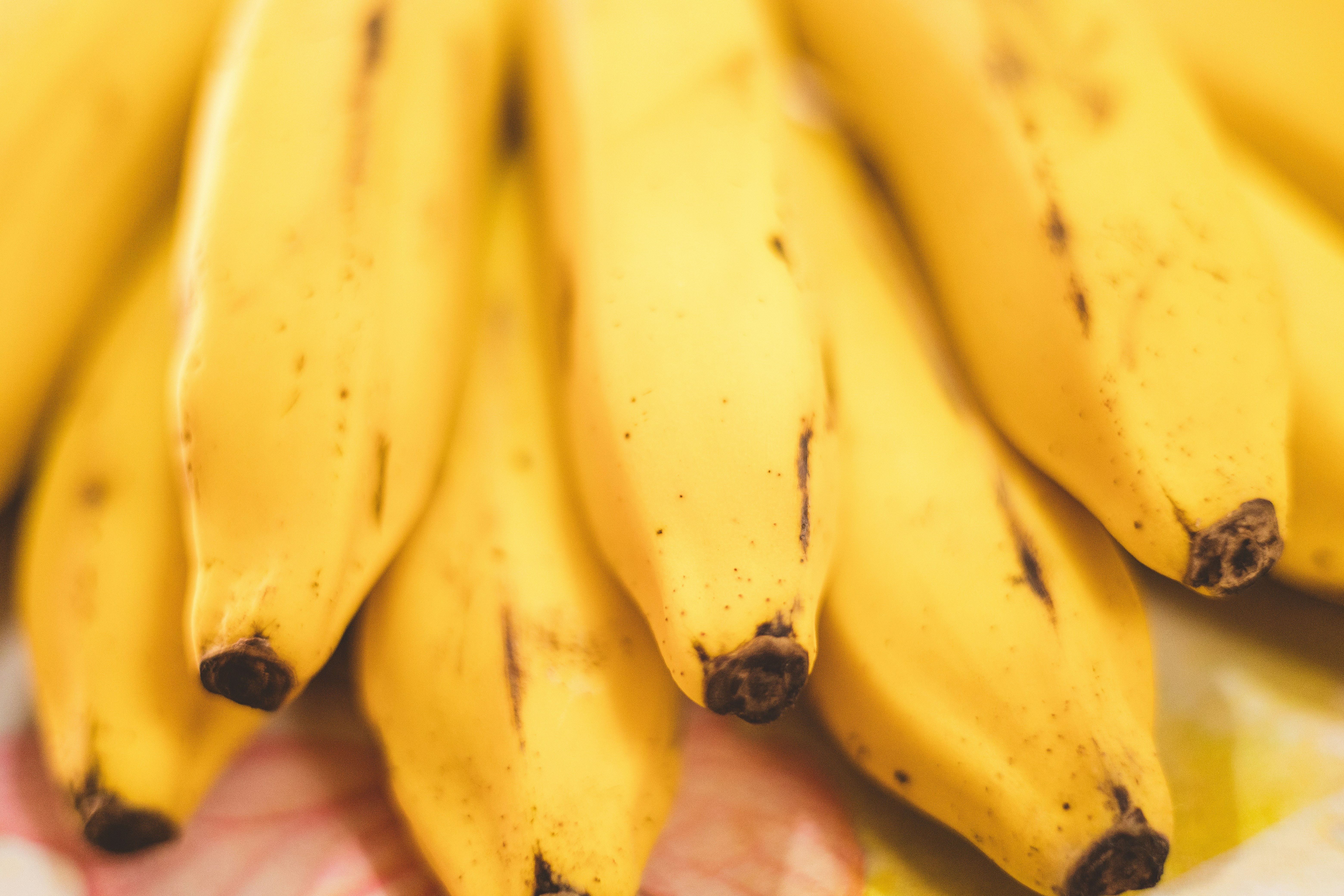 Photo by rrodriguesim