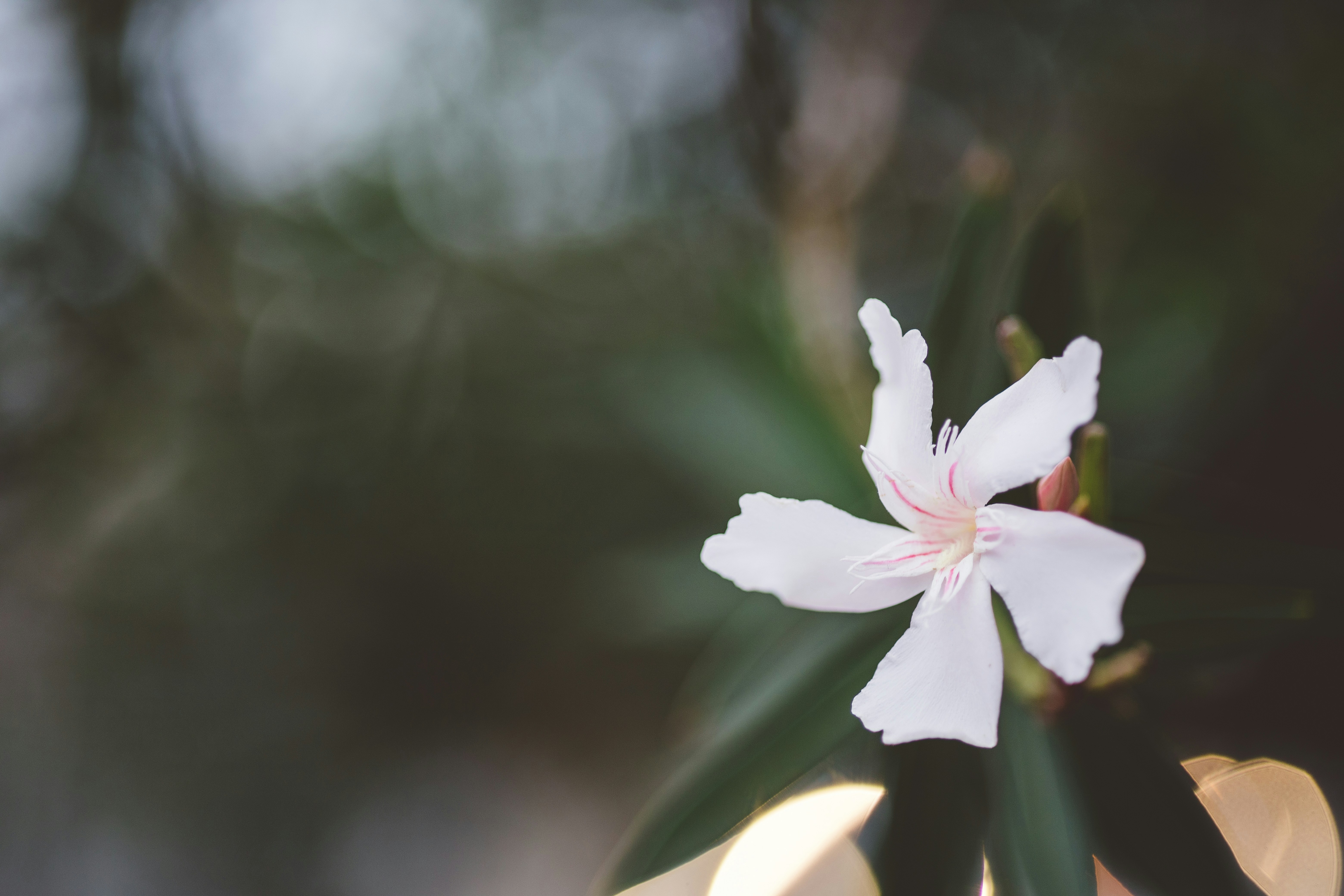 Photo by rrodriguesim