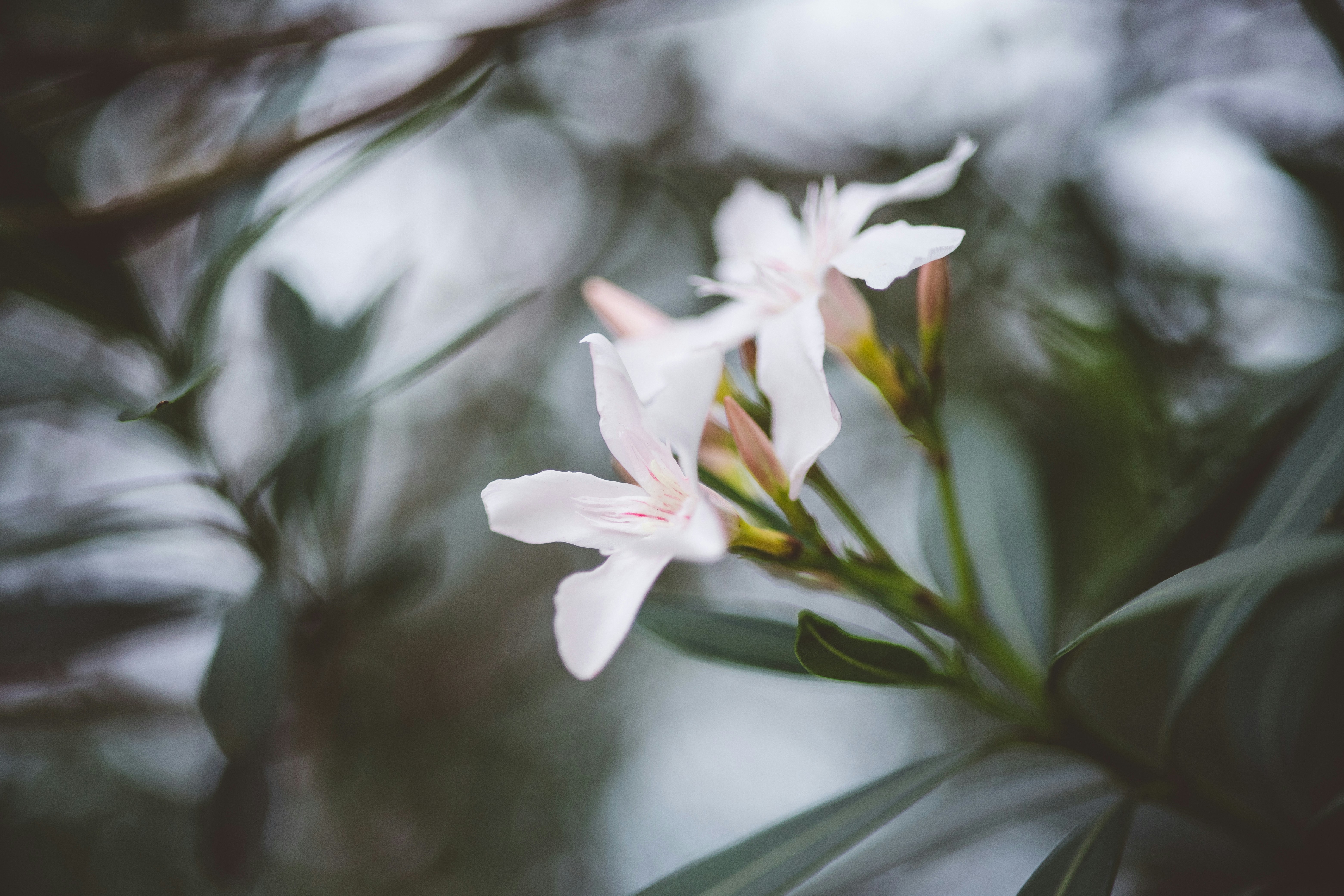 Photo by rrodriguesim