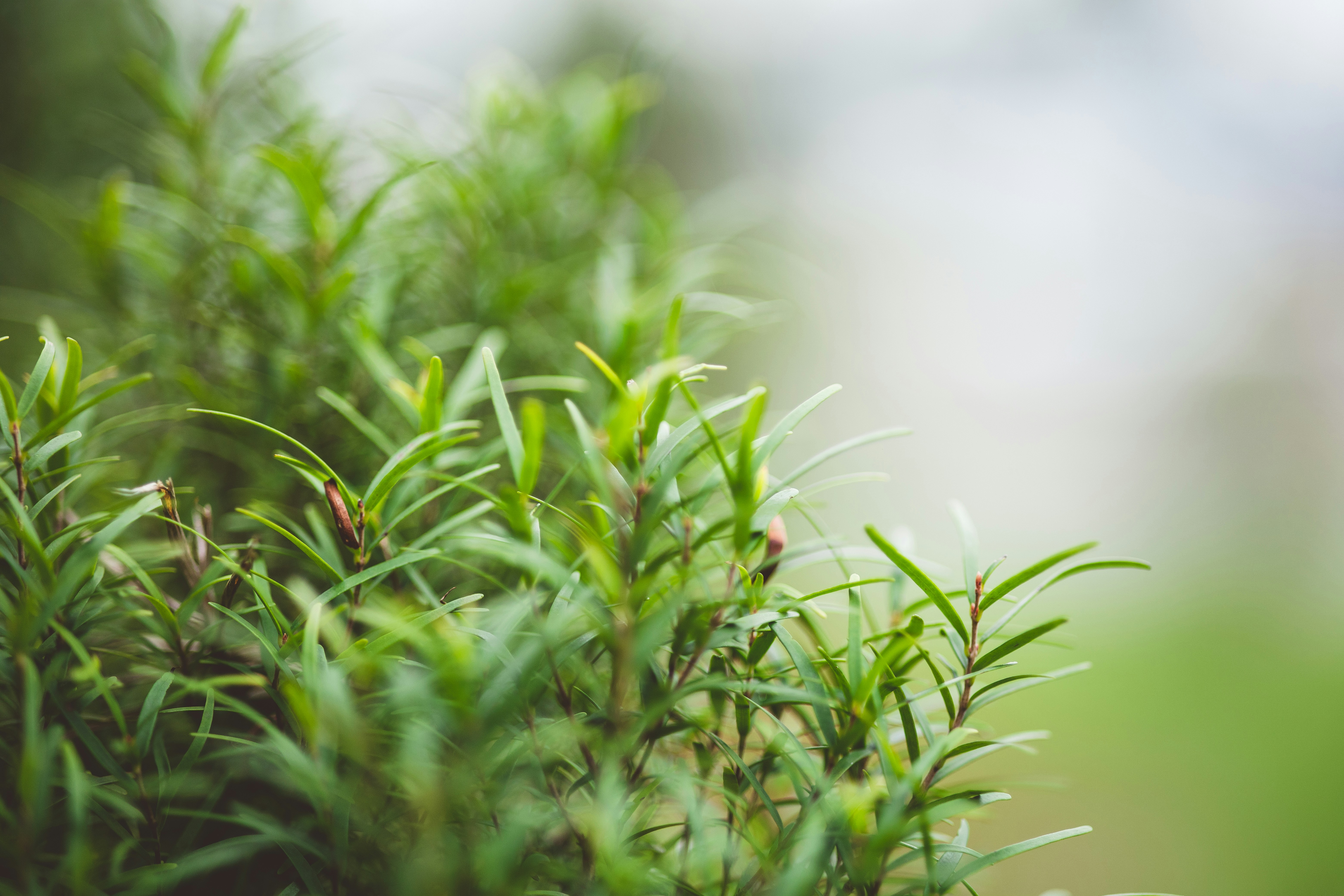 Photo by rrodriguesim